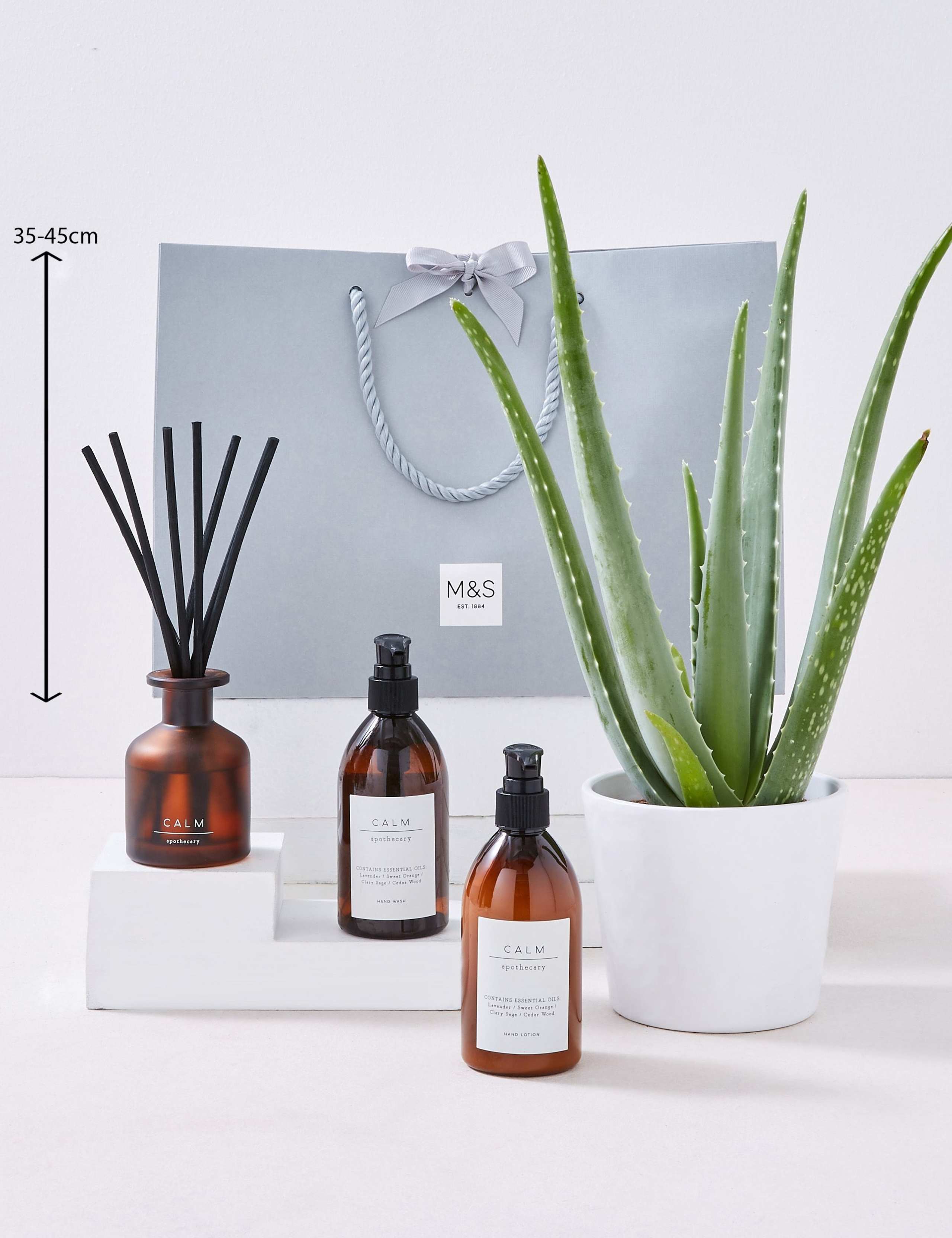 Pamper Hamper with Aloe Vera Plant 4 of 4