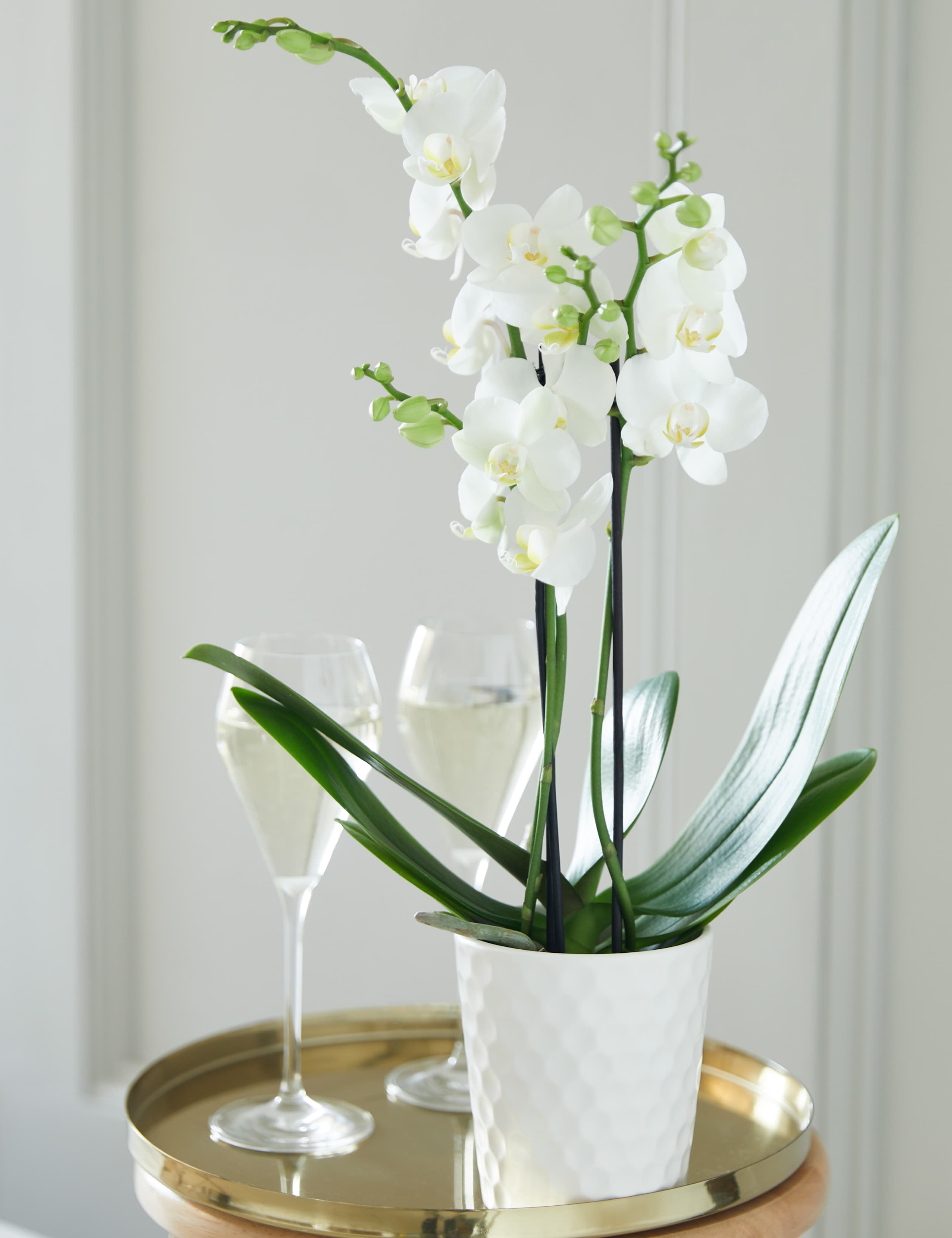 You're so lovely Orchid Gift Bag 2 of 3
