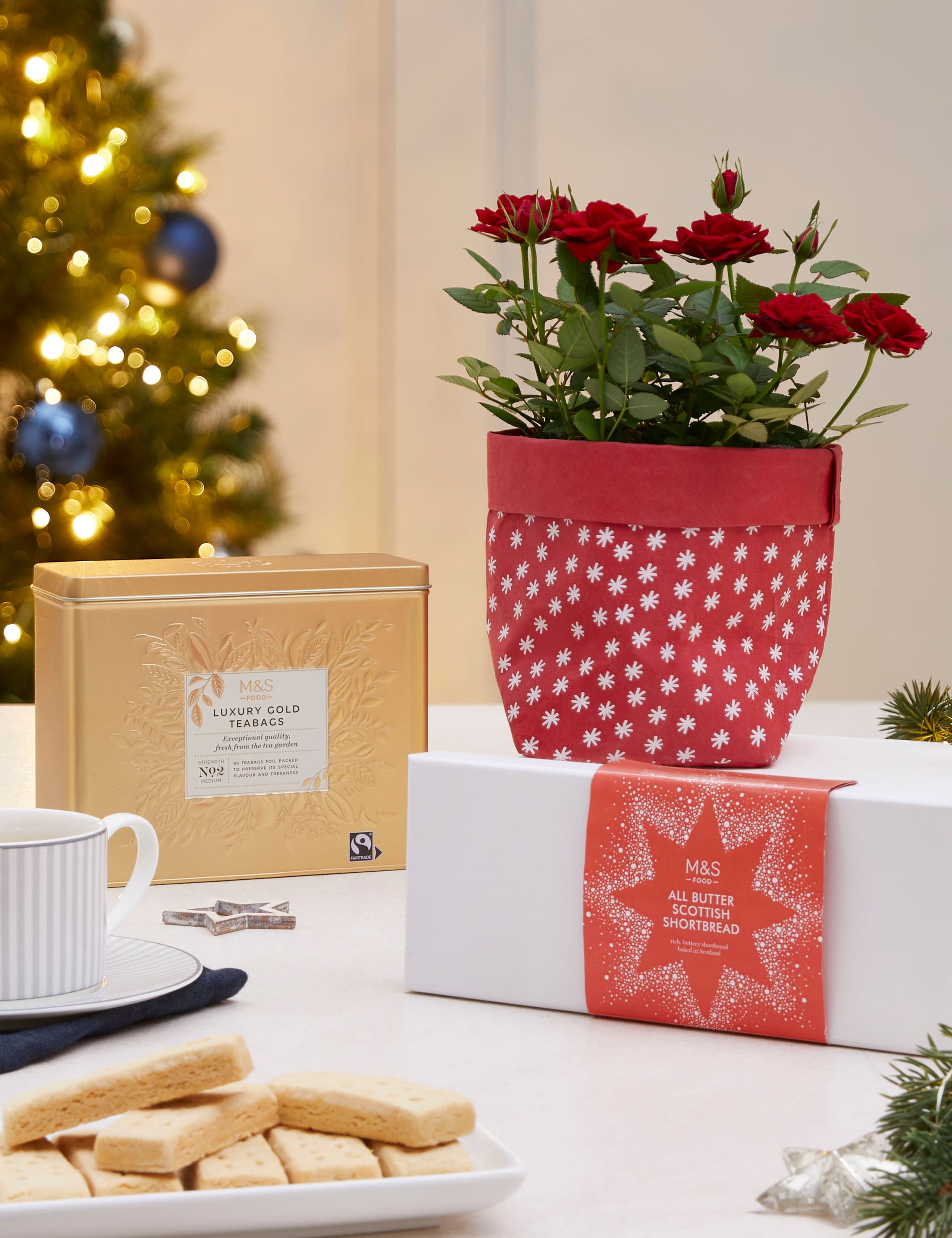 Festive Afternoon Tea with Rose Plant 1 of 3