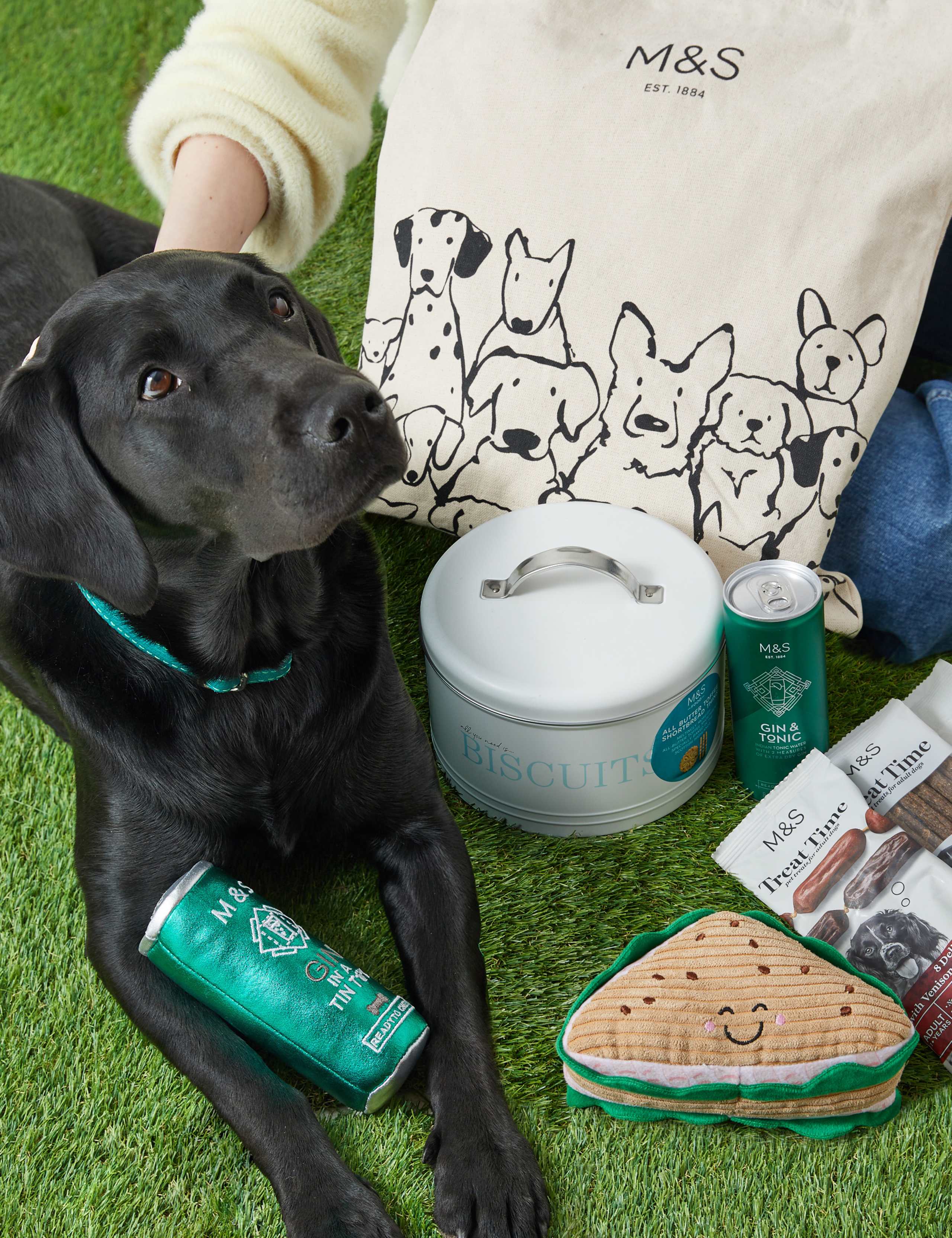 Dog Lover's Gift Bag 2 of 5