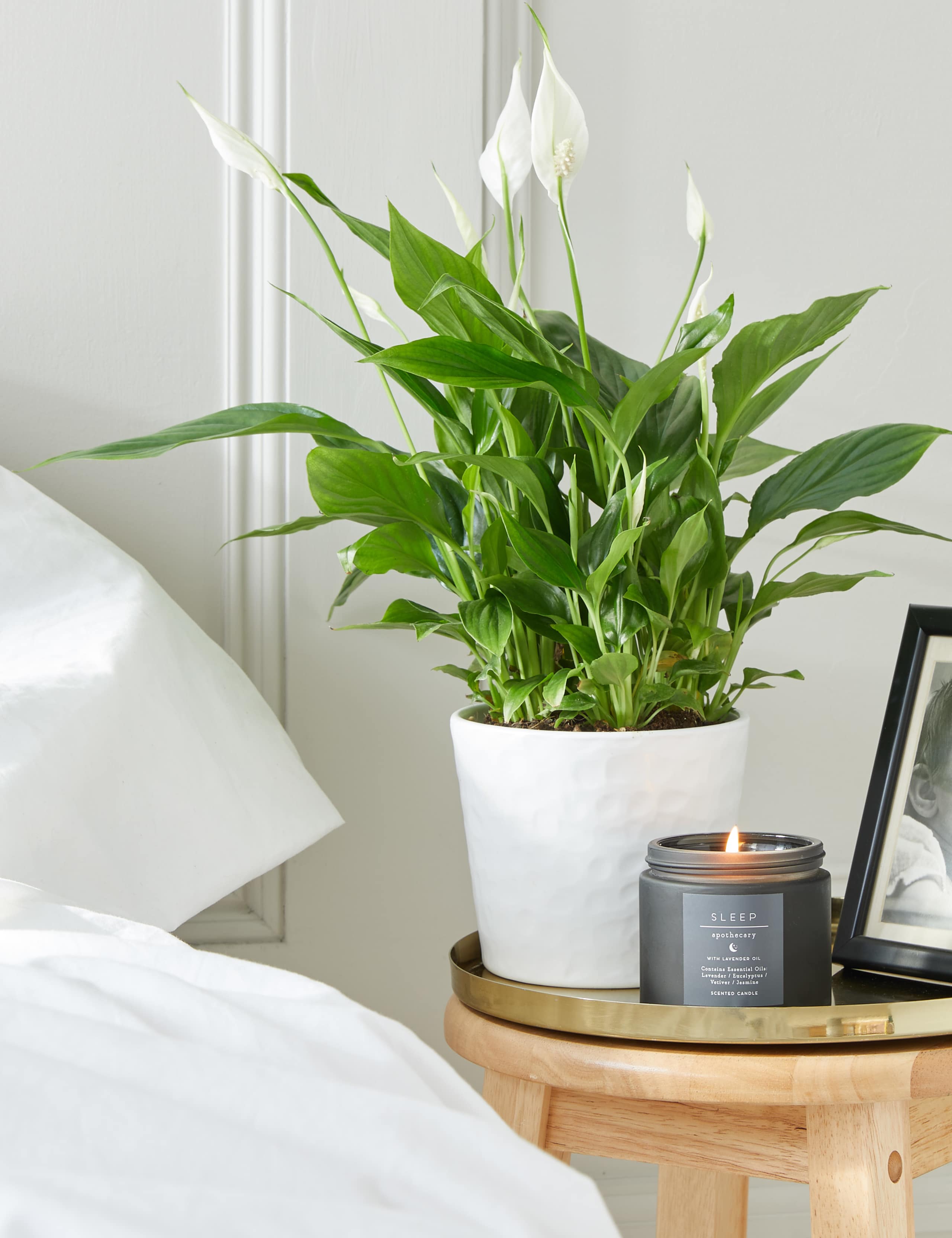 Serenity Peace Lily Gift 2 of 3