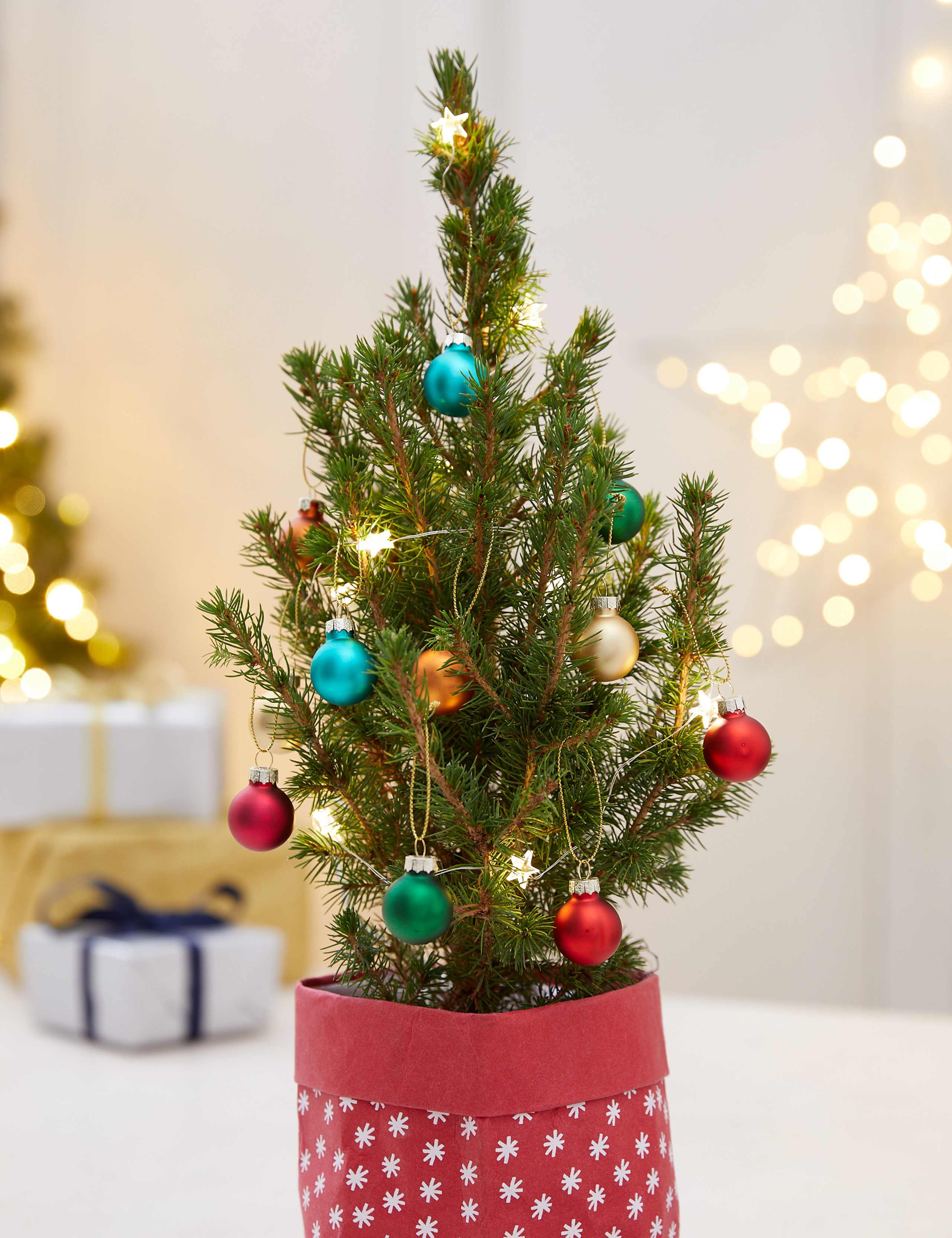 Decorate Your Own Christmas Tree Gift 3 of 3