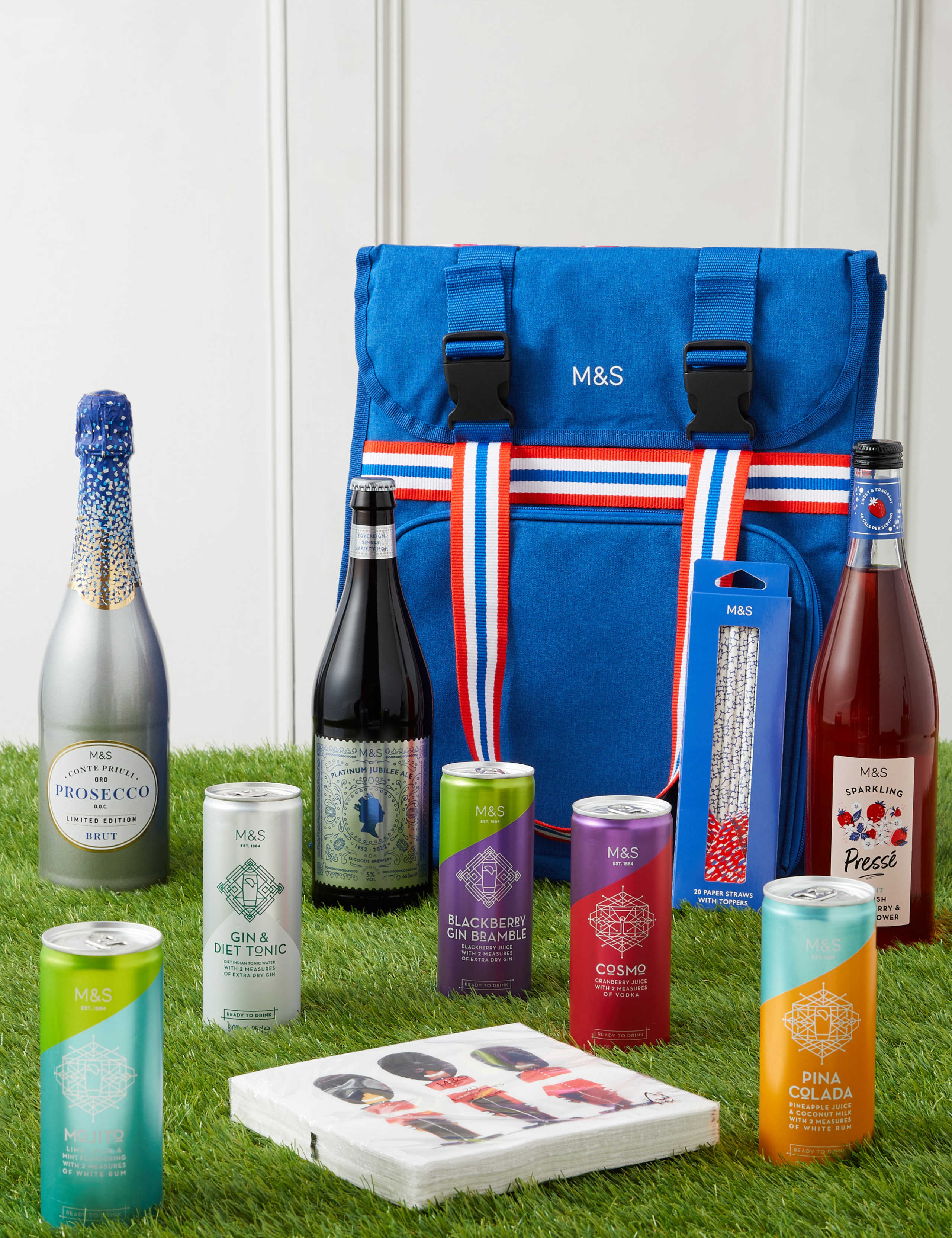 Cocktail Party Picnic Bag 1 of 4