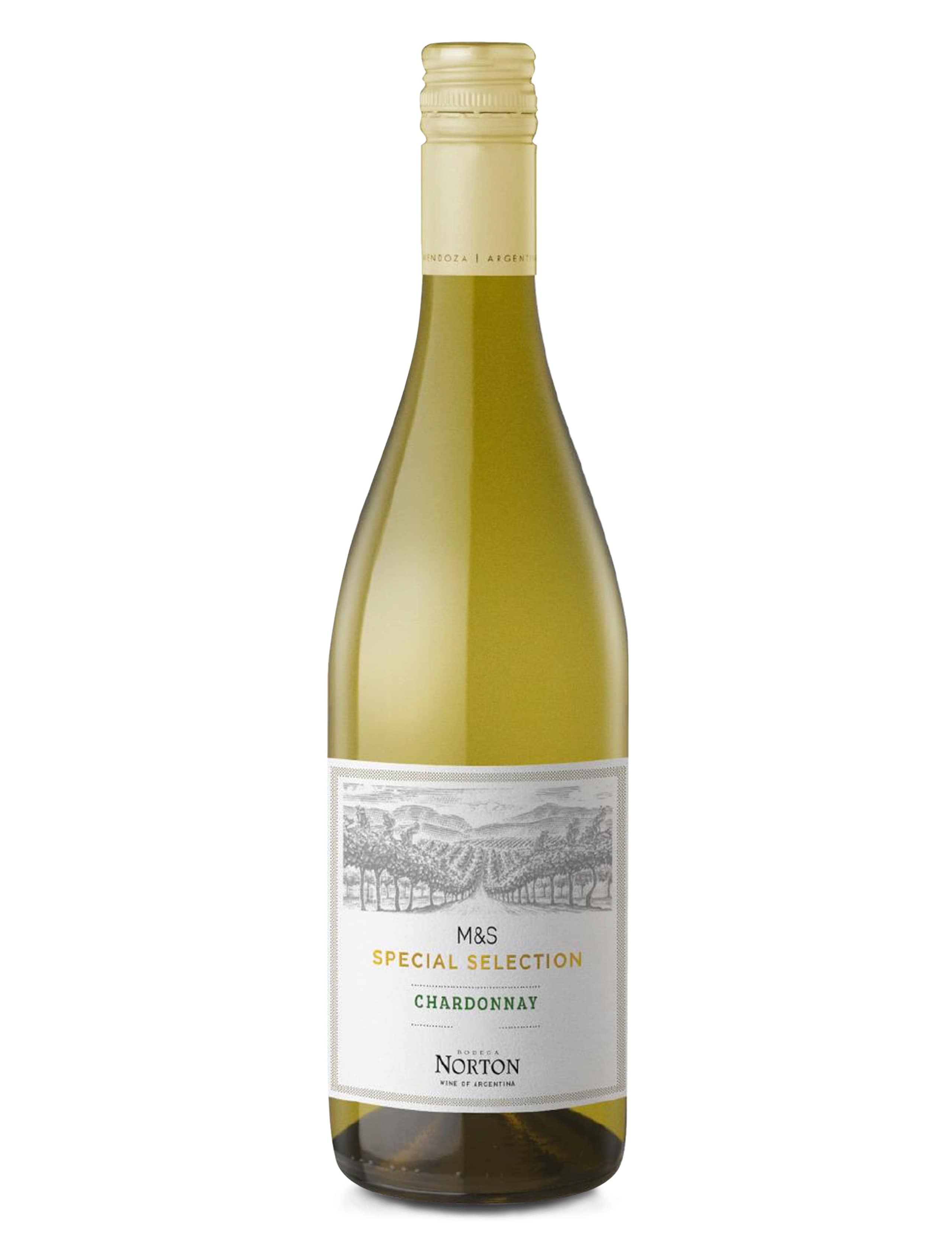 Norton Chardonnay - Case of 6 1 of 2