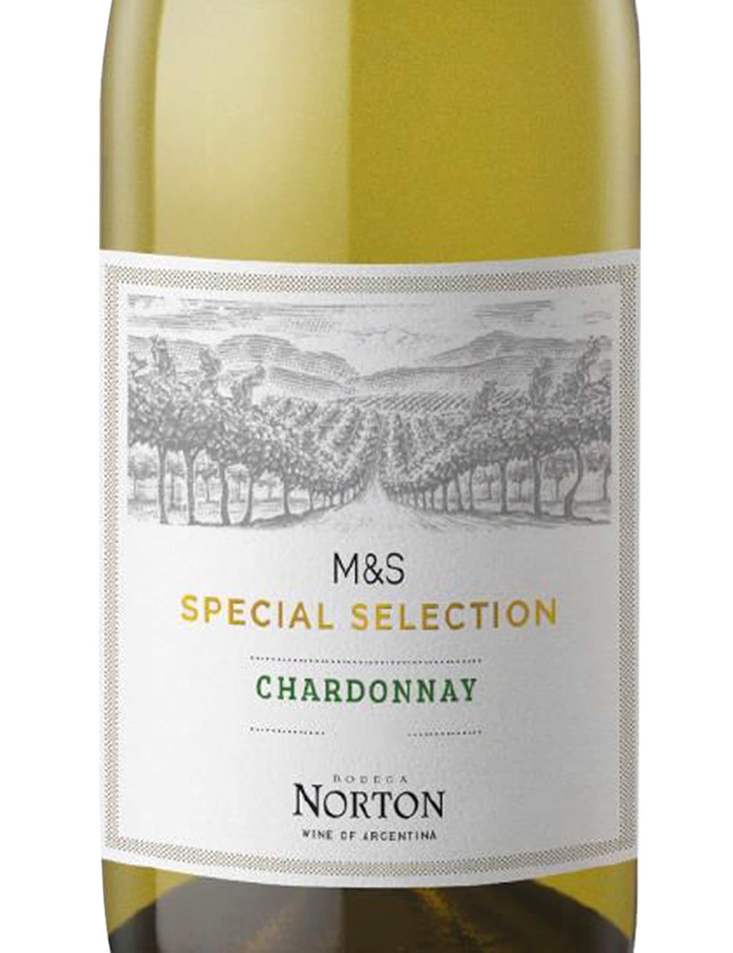 Norton Chardonnay - Case of 6 2 of 2