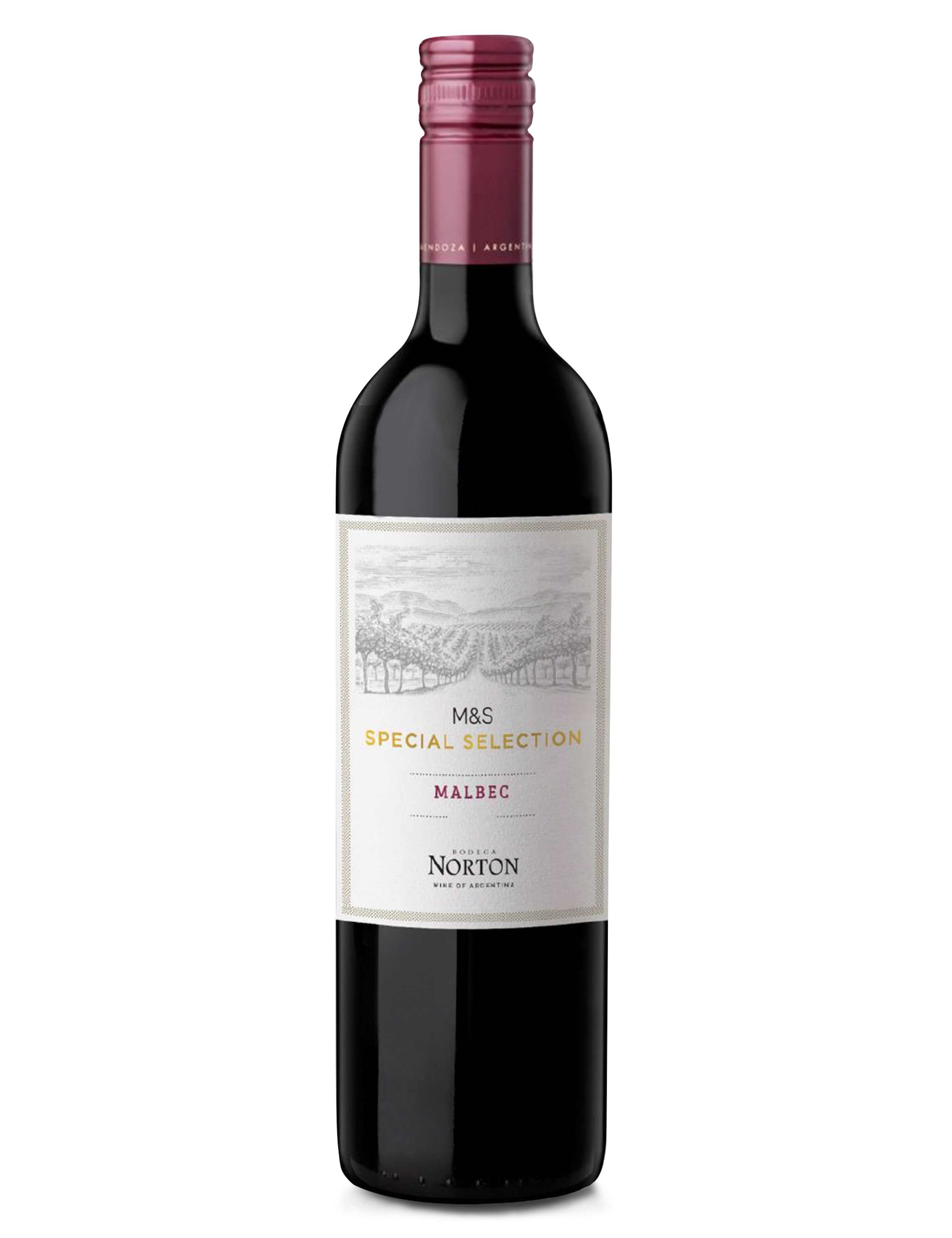 Norton Malbec - Case of 6 1 of 1