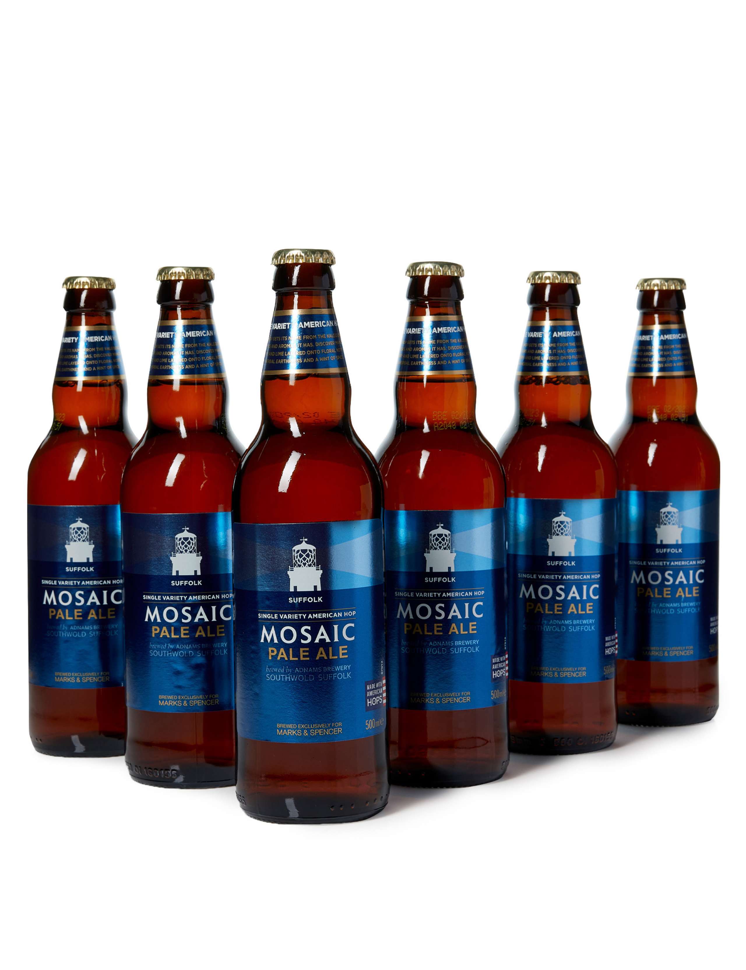 Mosaic Pale Ale - Case of 12 1 of 4