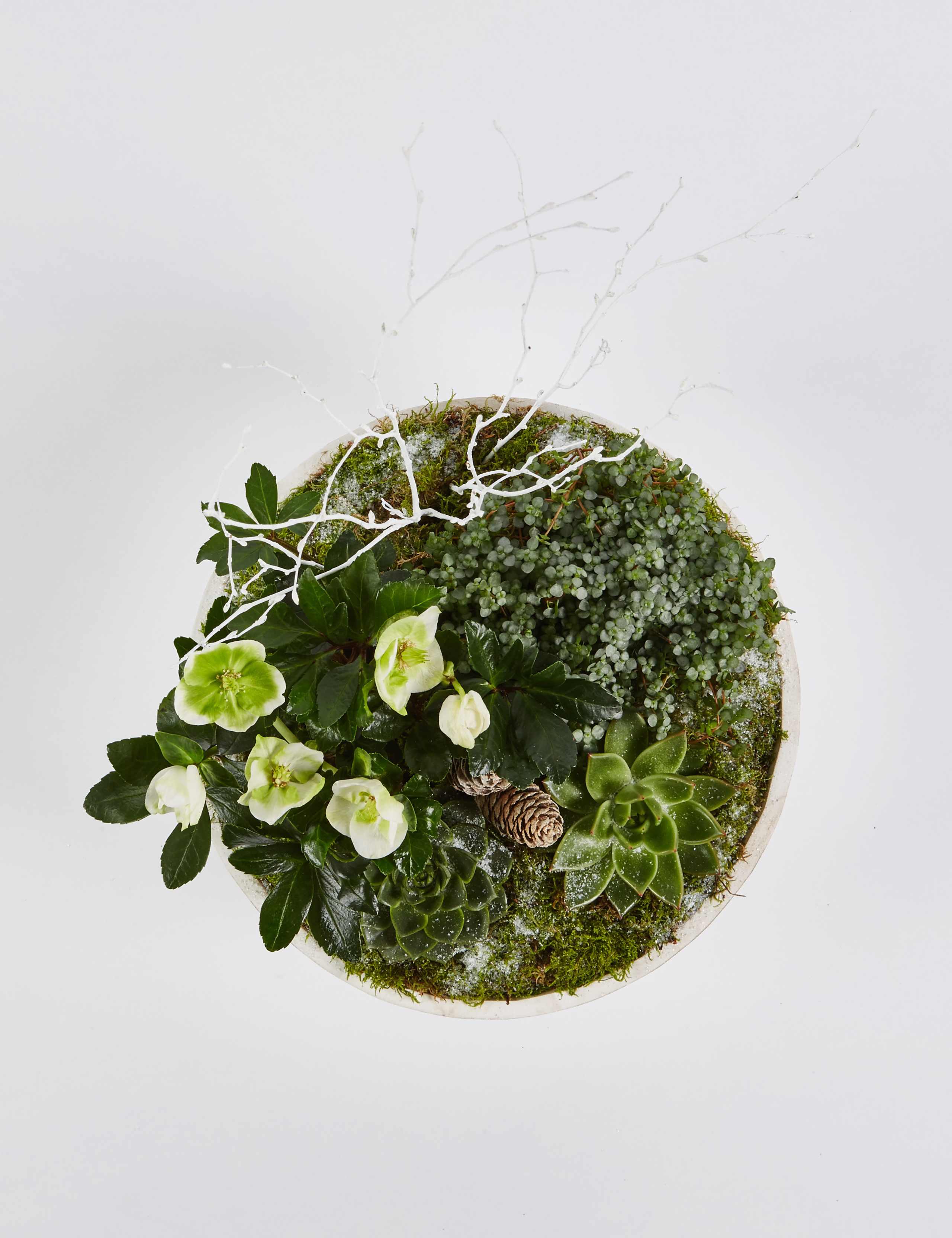 Christmas Woodland Arrangement | M&S