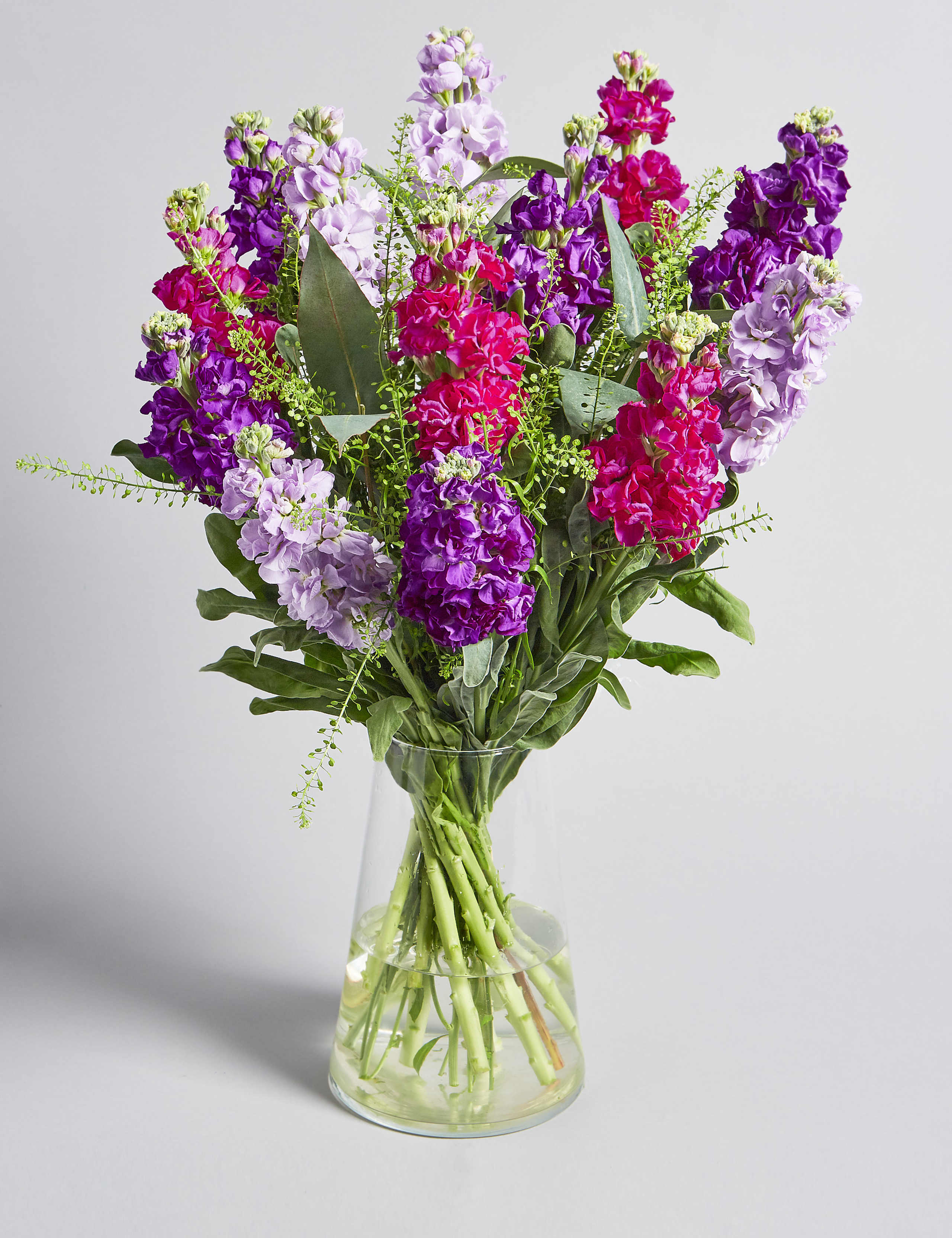 Scented Stocks (Available until 2nd May) 1 of 7