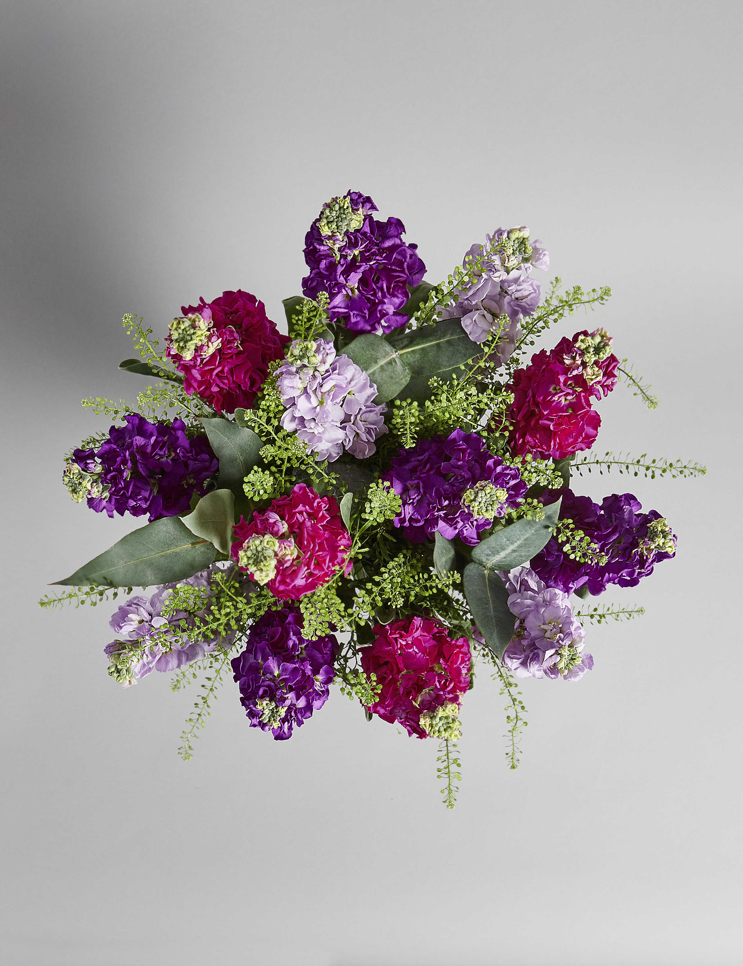 Scented Stocks (Available until 2nd May) 5 of 7