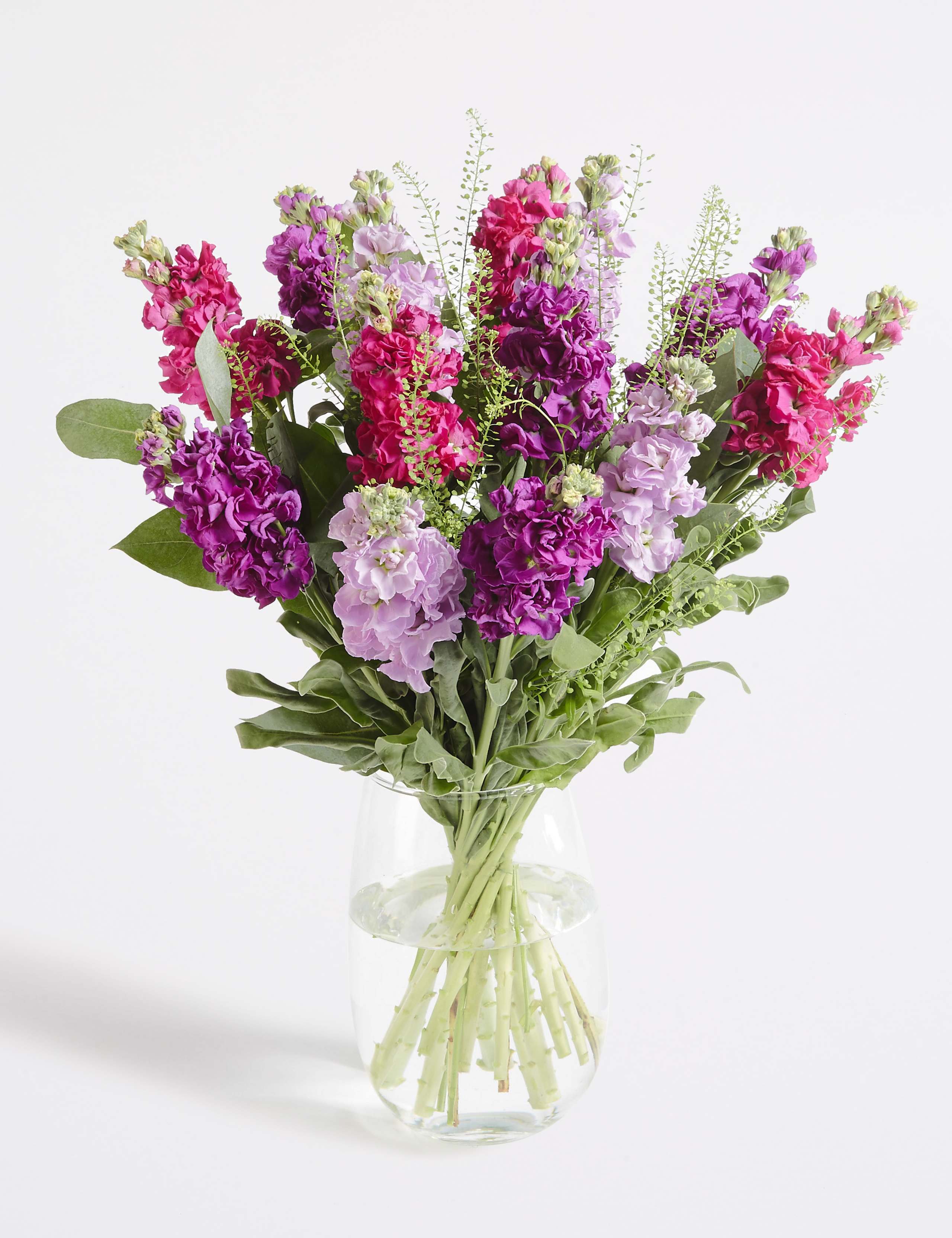 Scented Stocks (Available until 2nd May) 7 of 7
