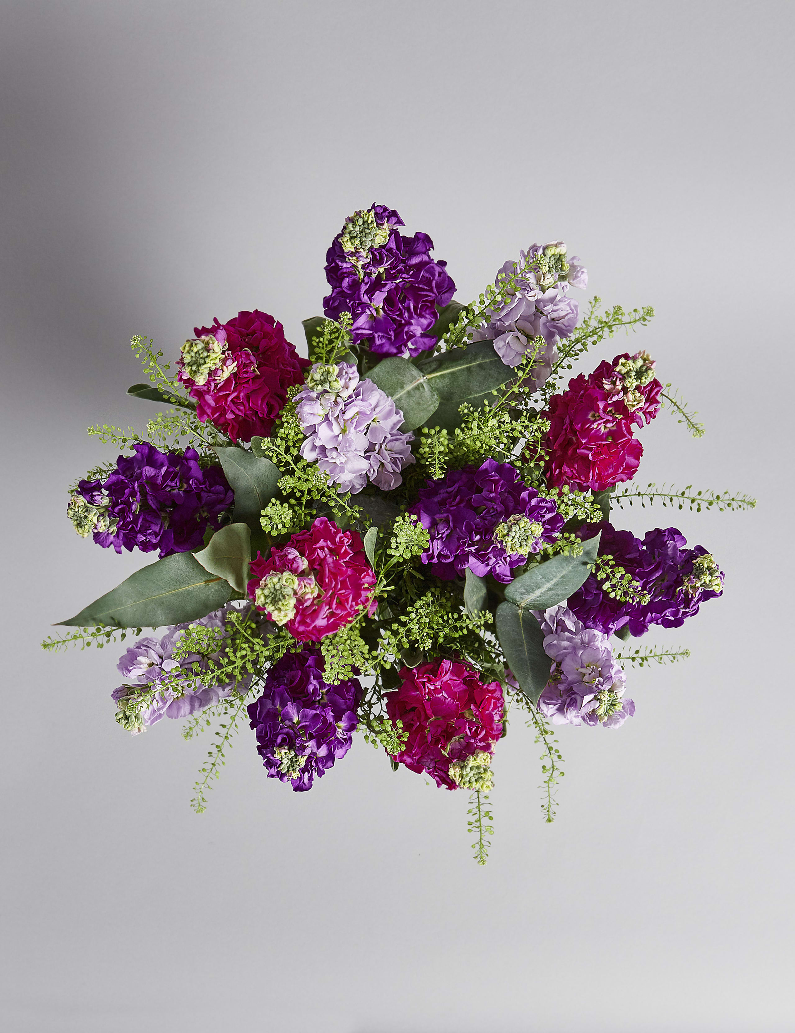 Scented Stocks (Available until 2nd May) 2 of 7