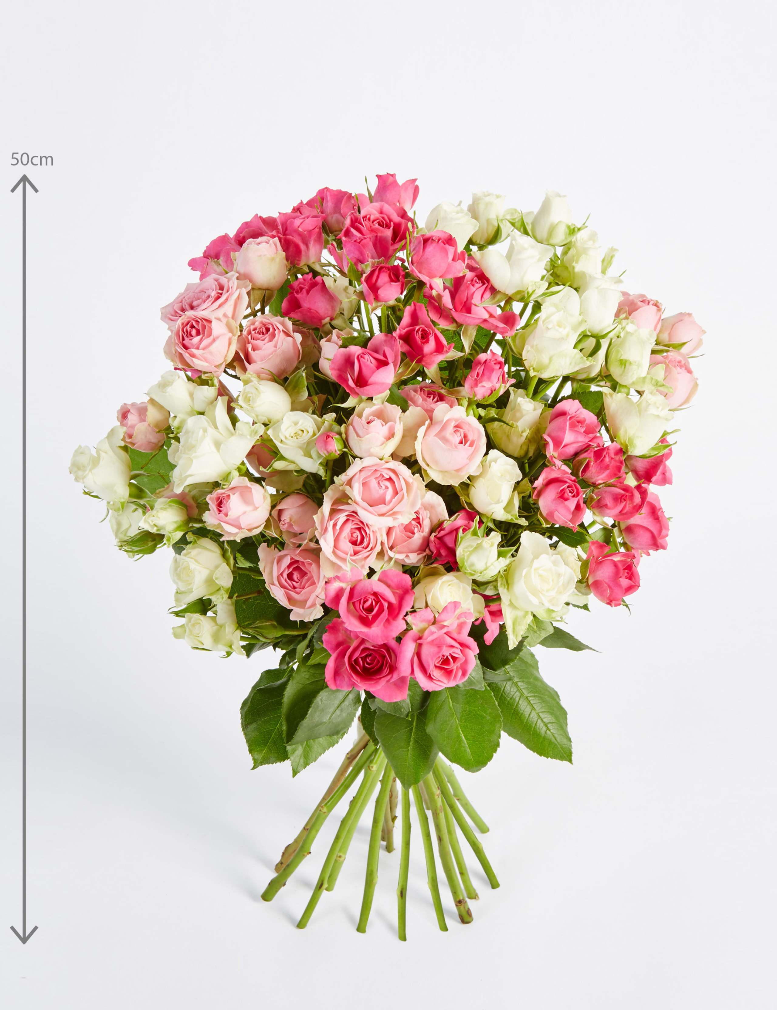 Autumn Pink Spray Roses 2 of 5