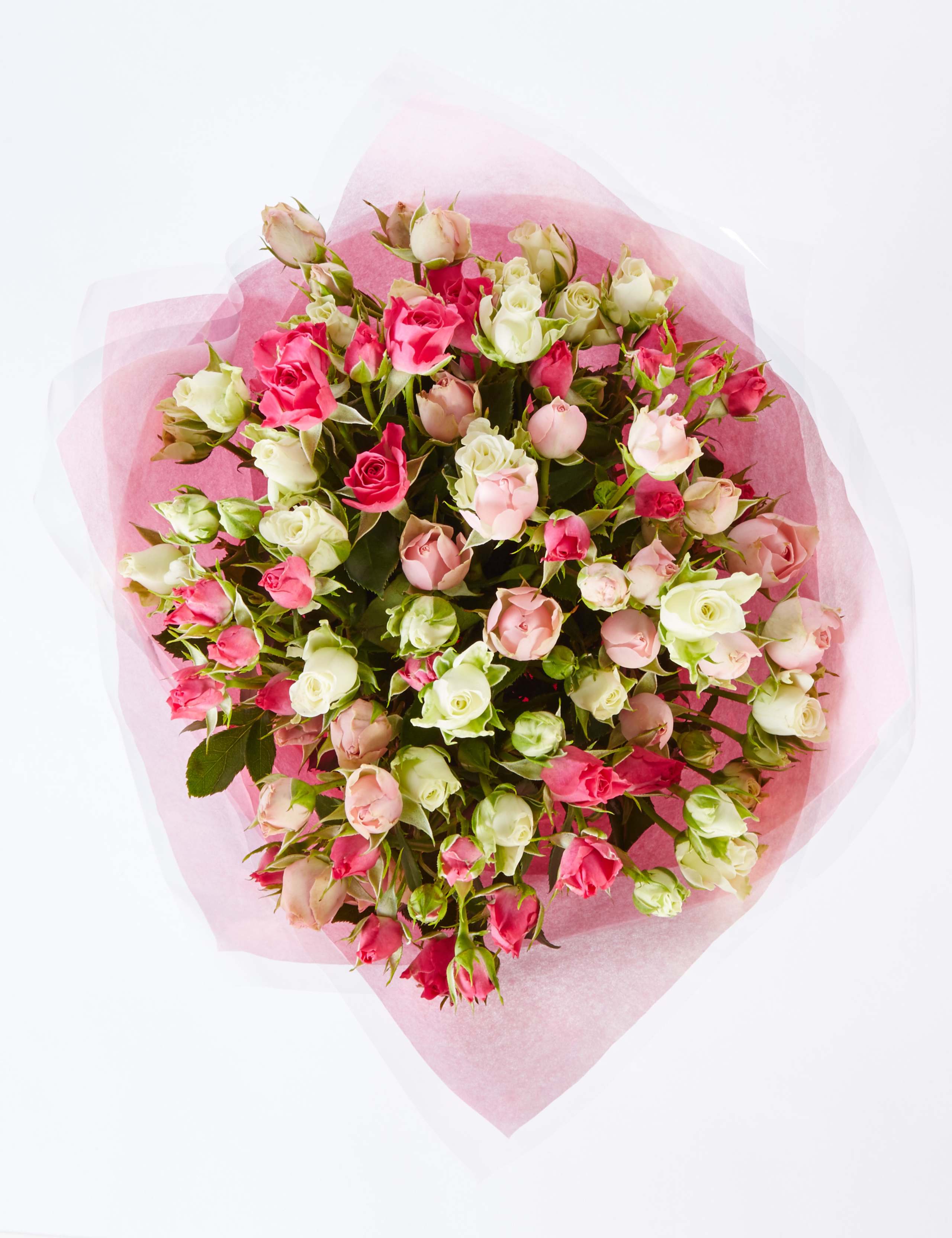 Autumn Pink Spray Roses 3 of 5