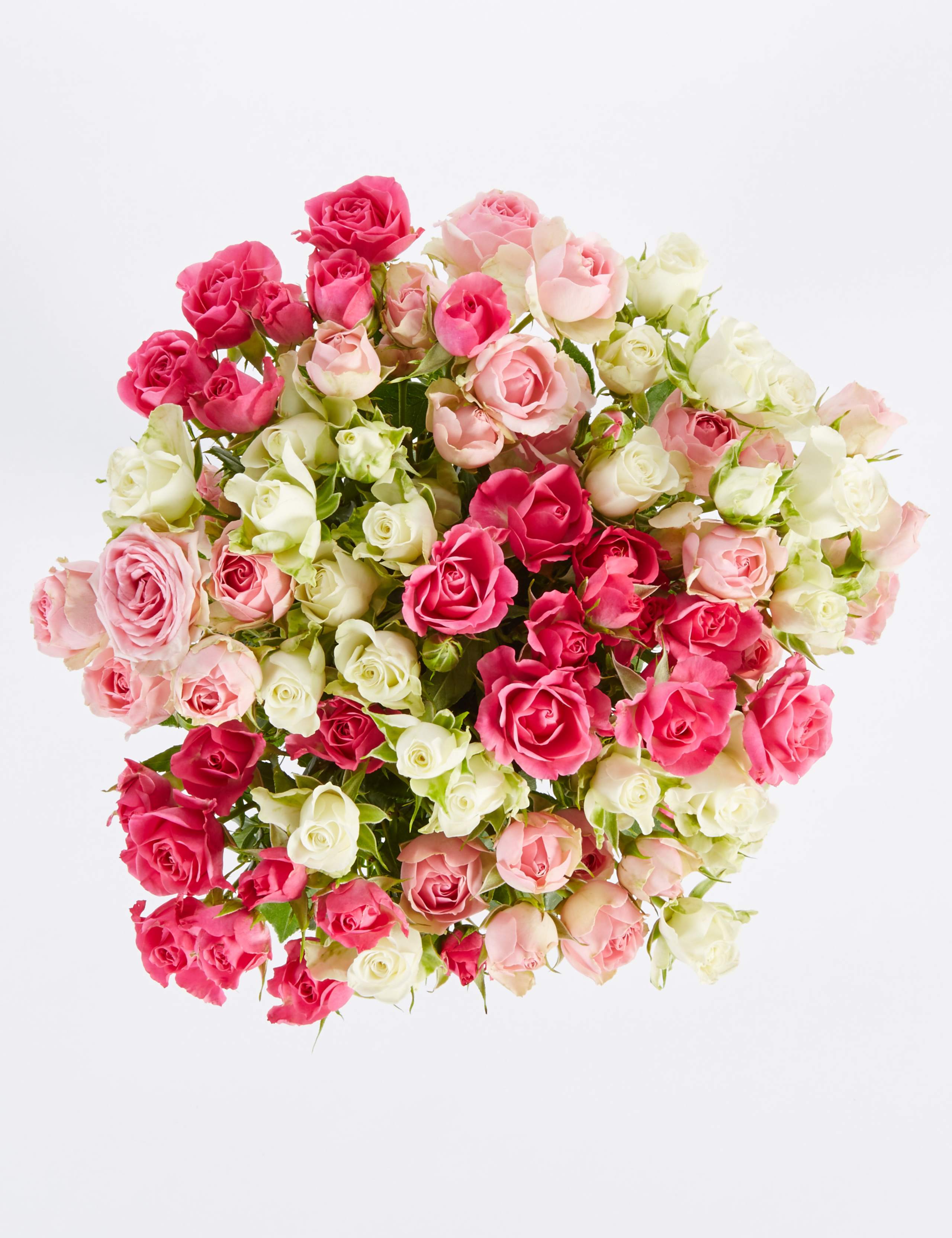 Autumn Pink Spray Roses 4 of 5