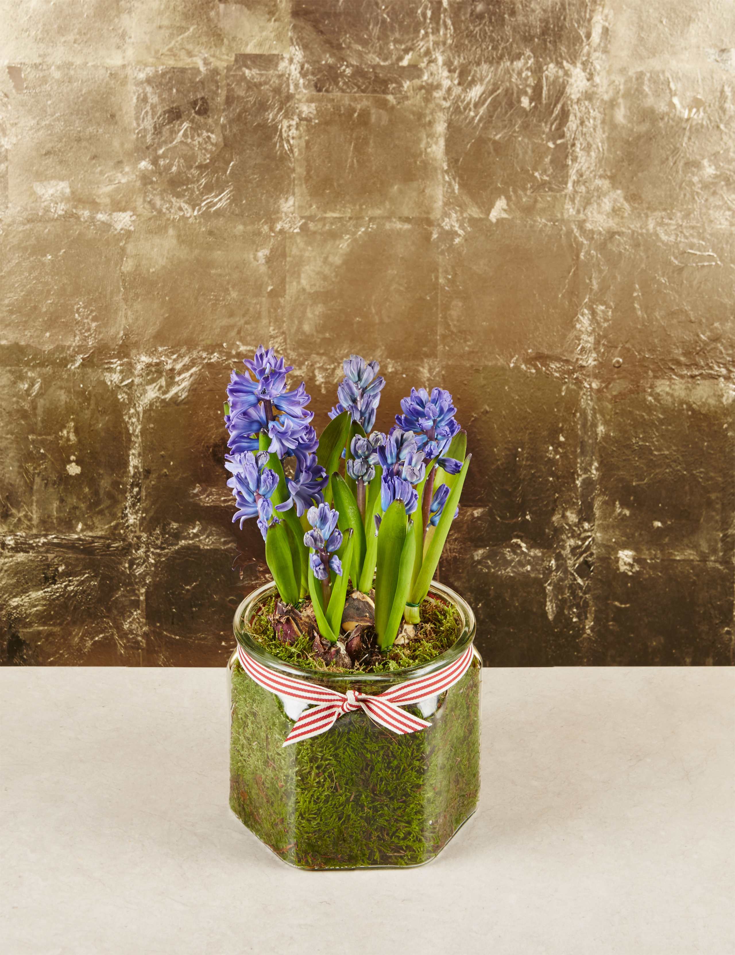 Christmas Hyacinth Glass 1 of 6