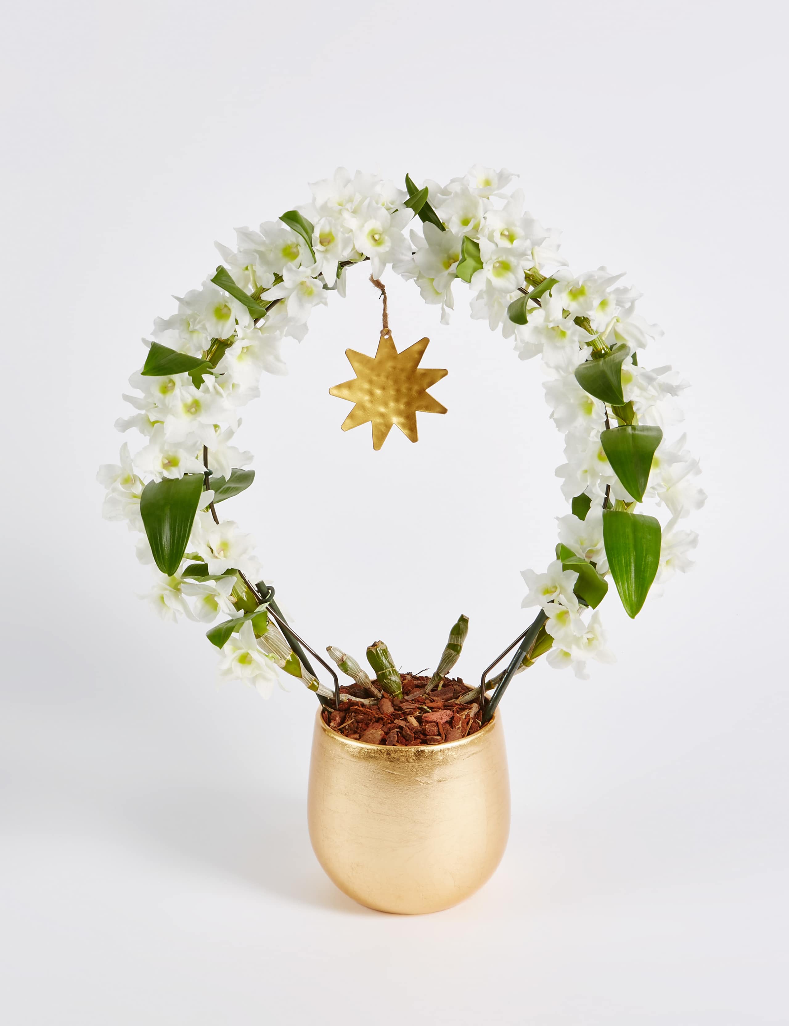 Christmas Orchid Glass 8 of 8