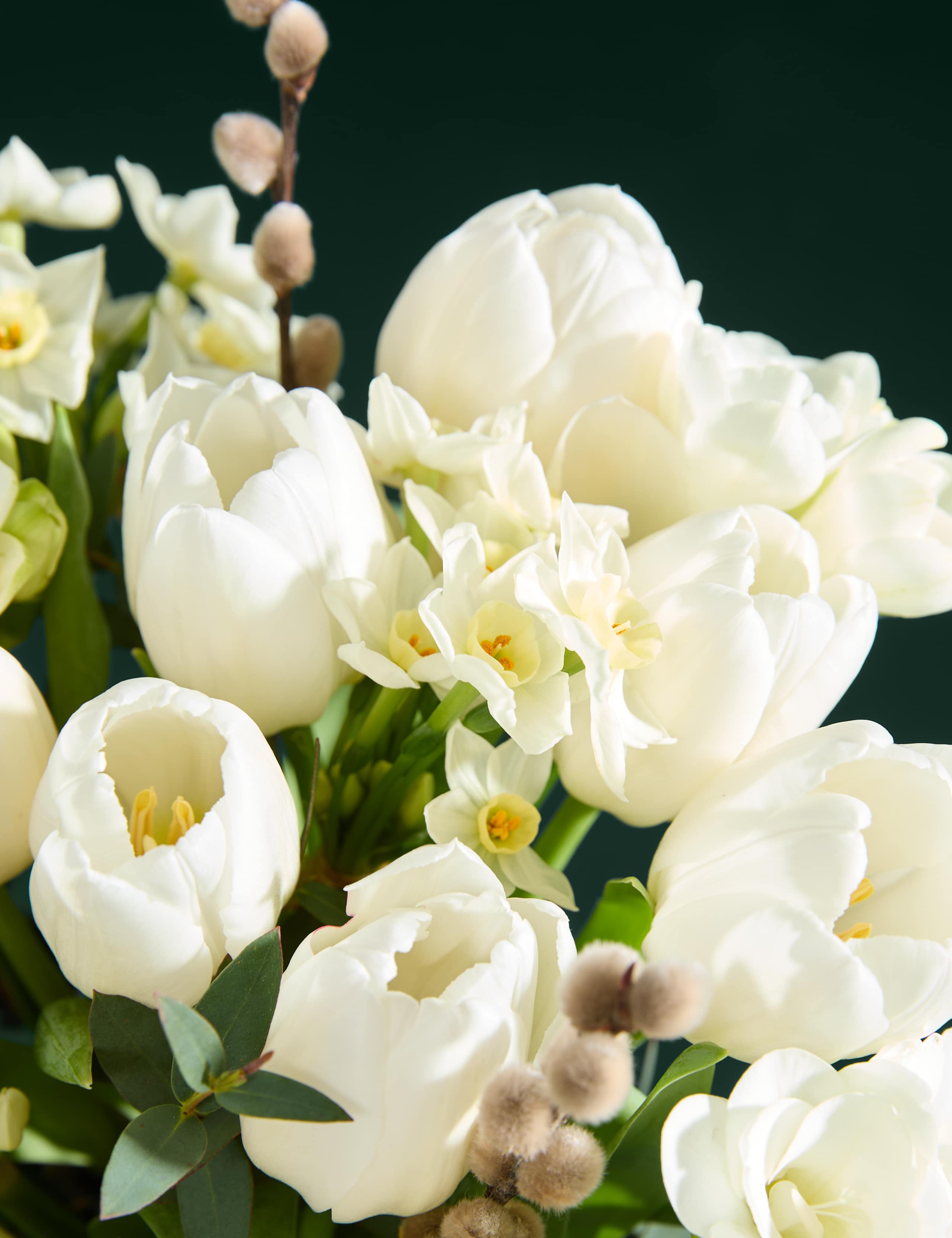 Festive & Fragrant Narcissi & Tulip Posy 3 of 7
