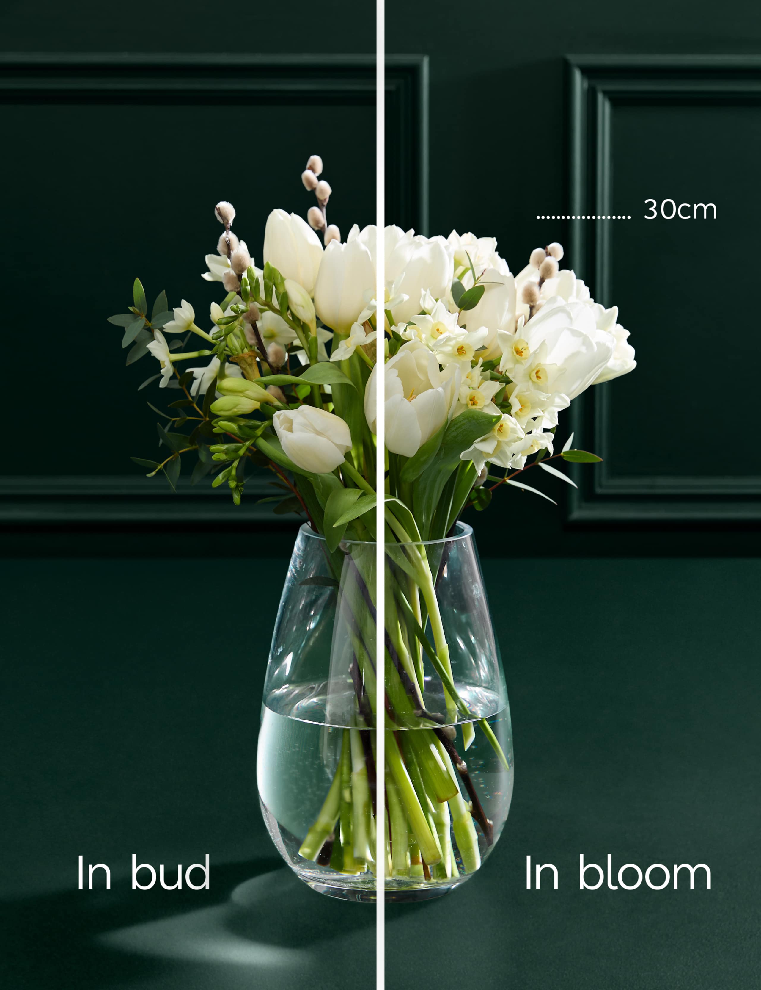 Festive & Fragrant Narcissi & Tulip Posy 4 of 7