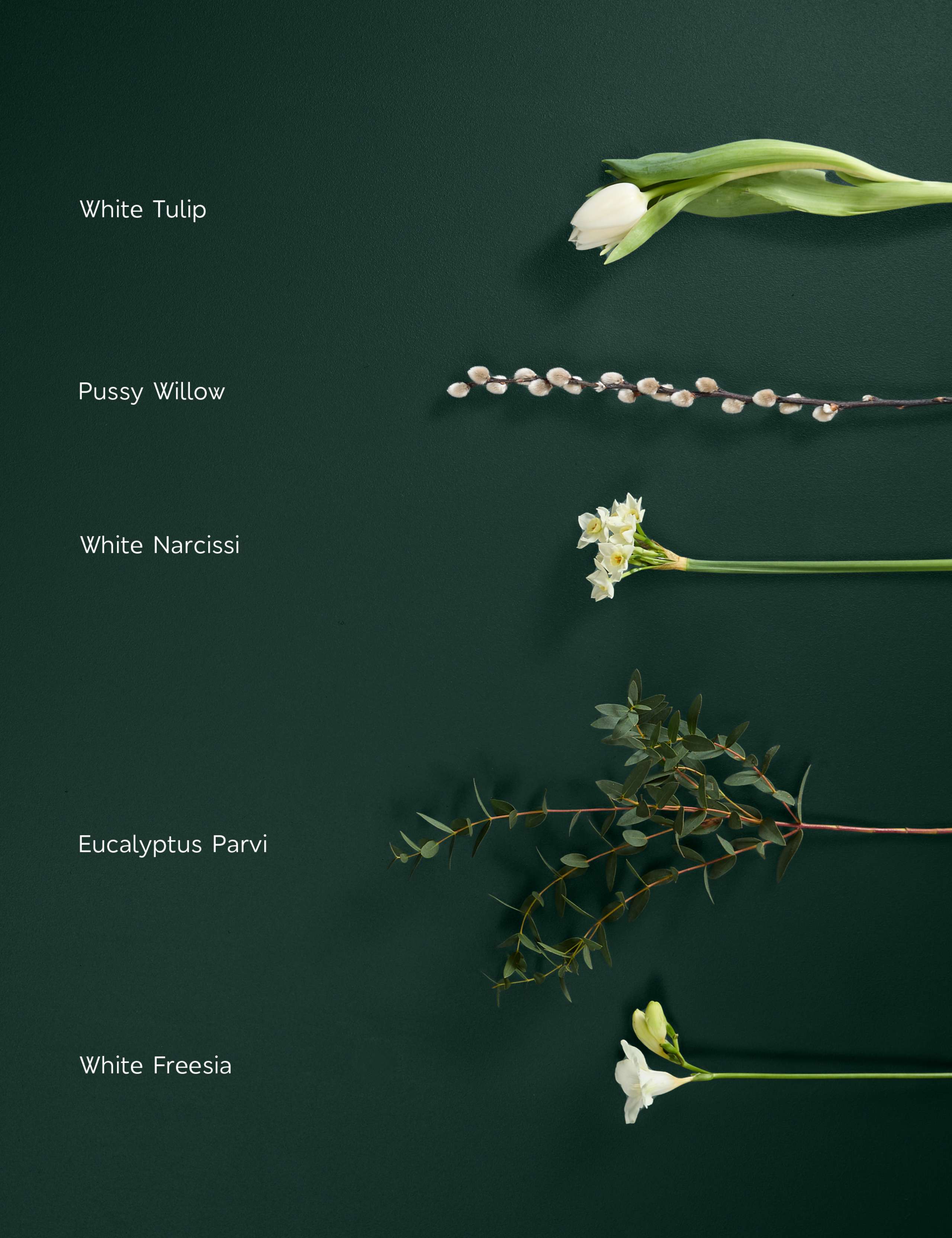 Festive & Fragrant Narcissi & Tulip Posy 5 of 7