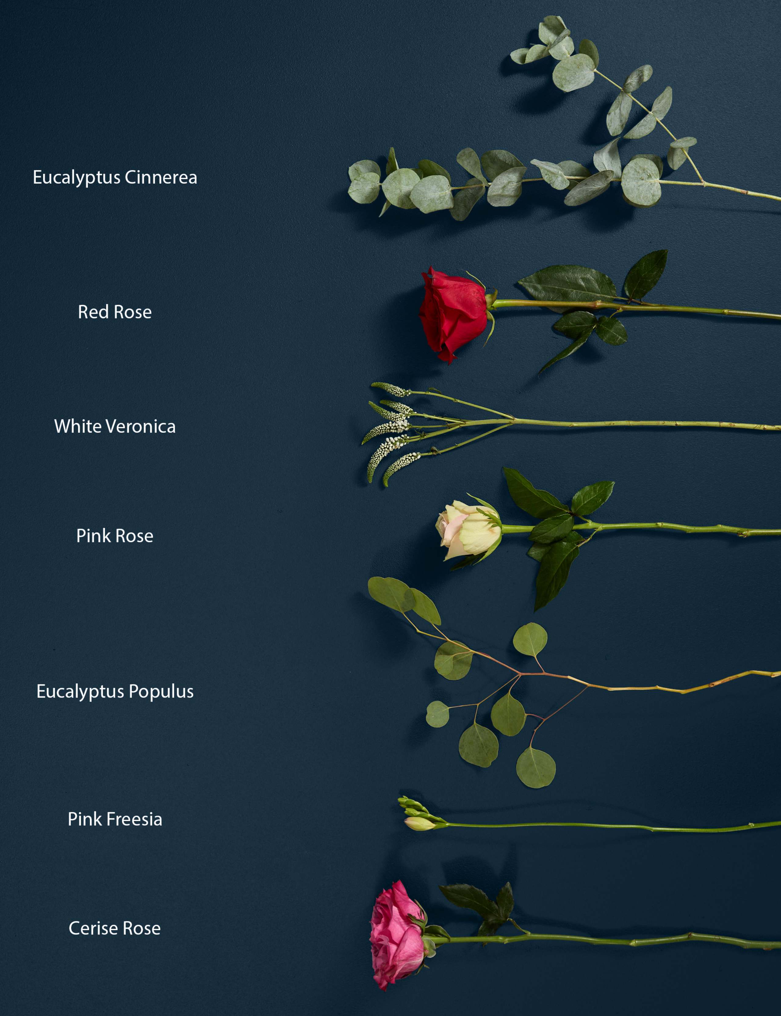 Opera Bouquet with Cygnet 22 Gin 5 of 10