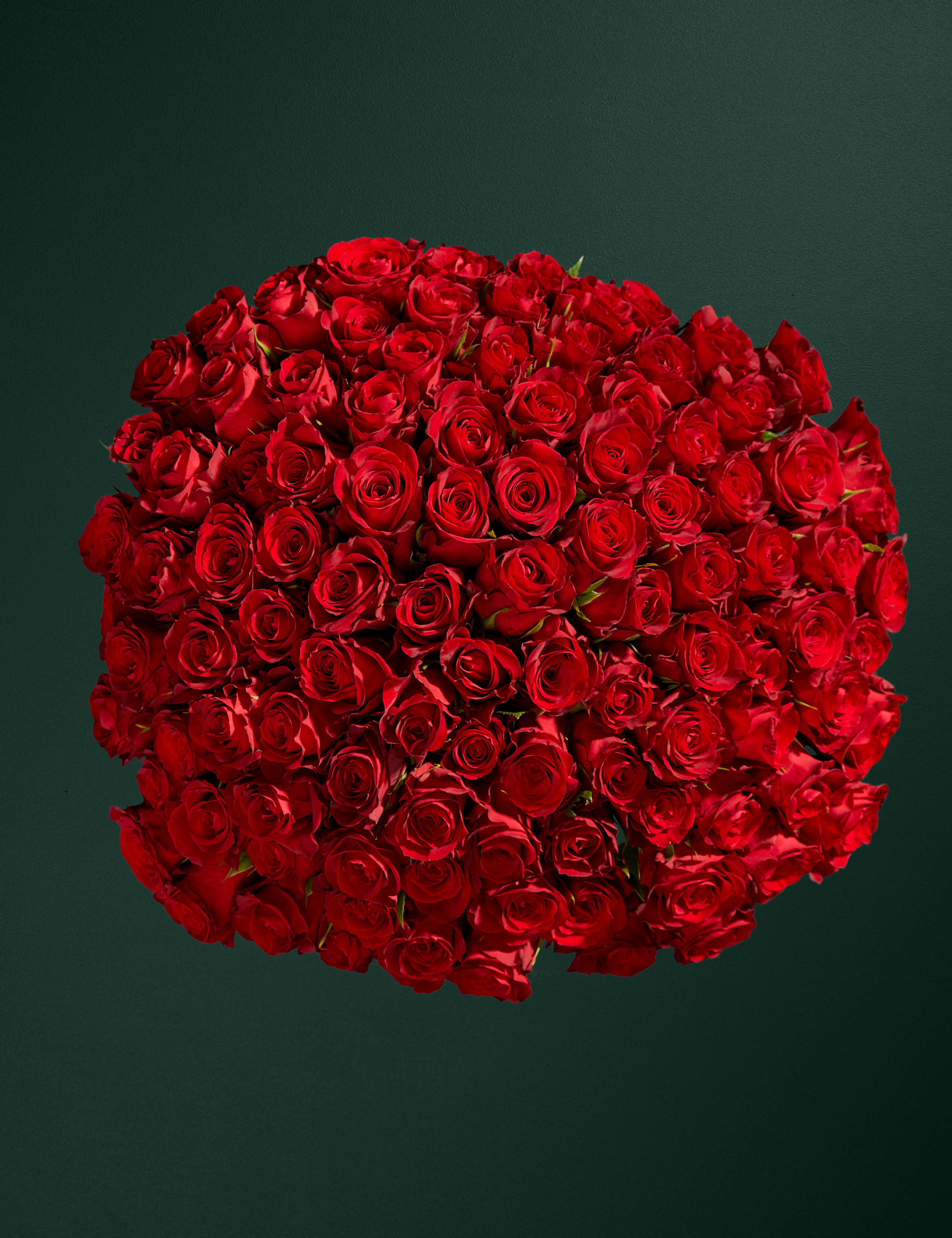 100 Romantic Red Roses Bouquet 2 of 7