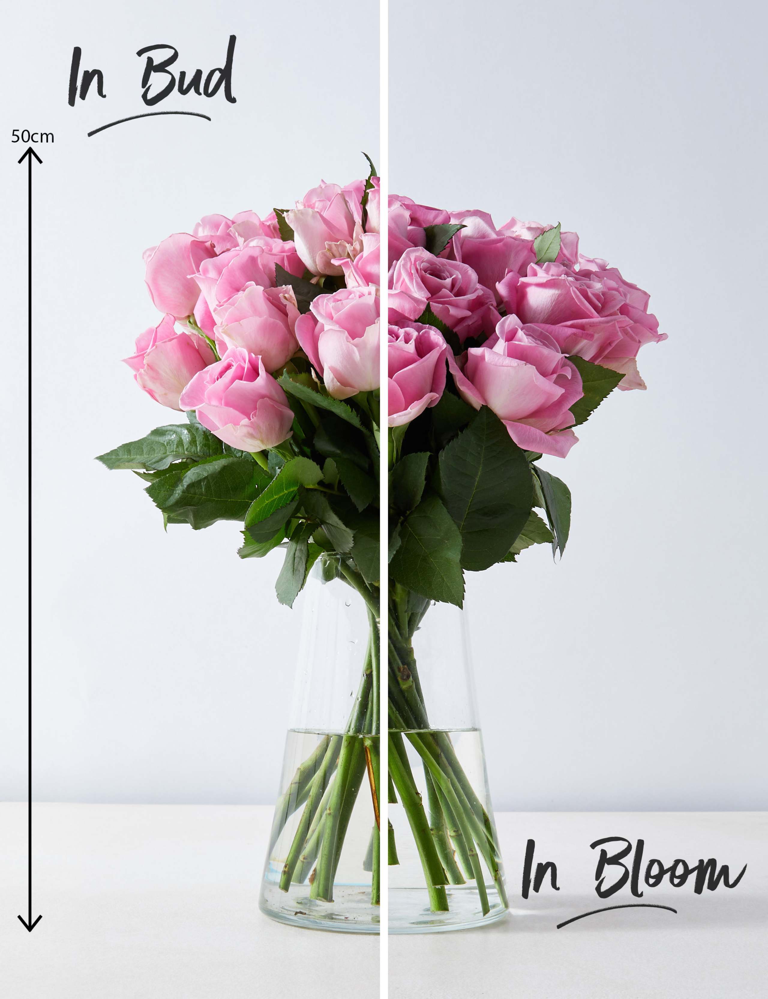 Pink Rose Bouquet 3 of 7