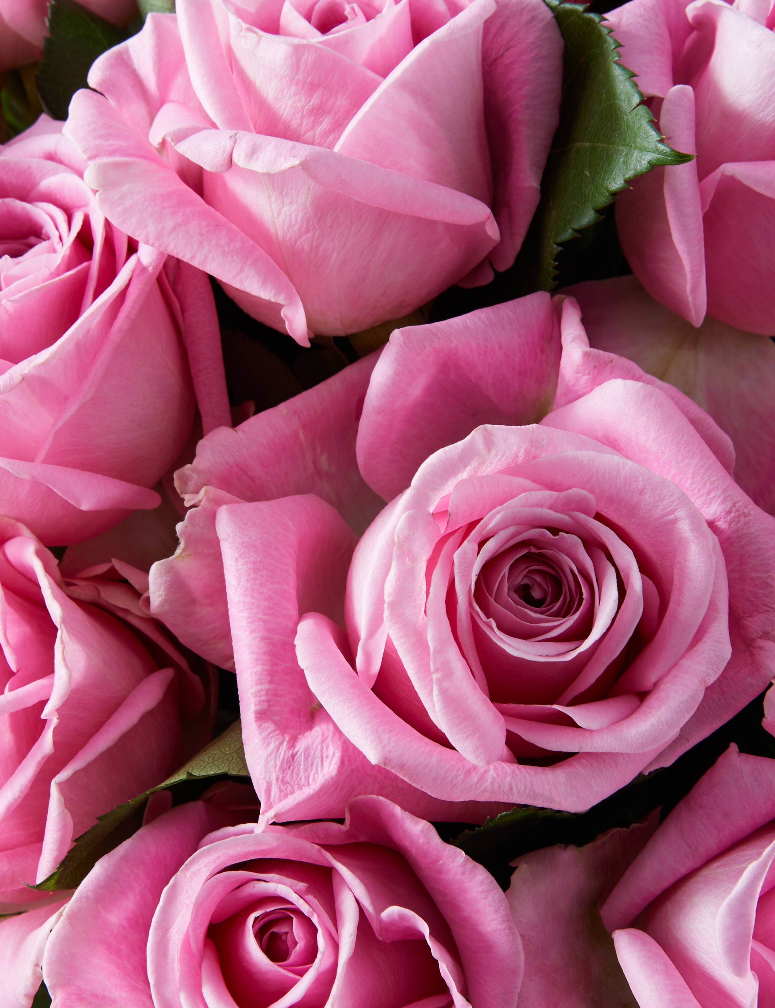 Pink Rose Bouquet 4 of 7