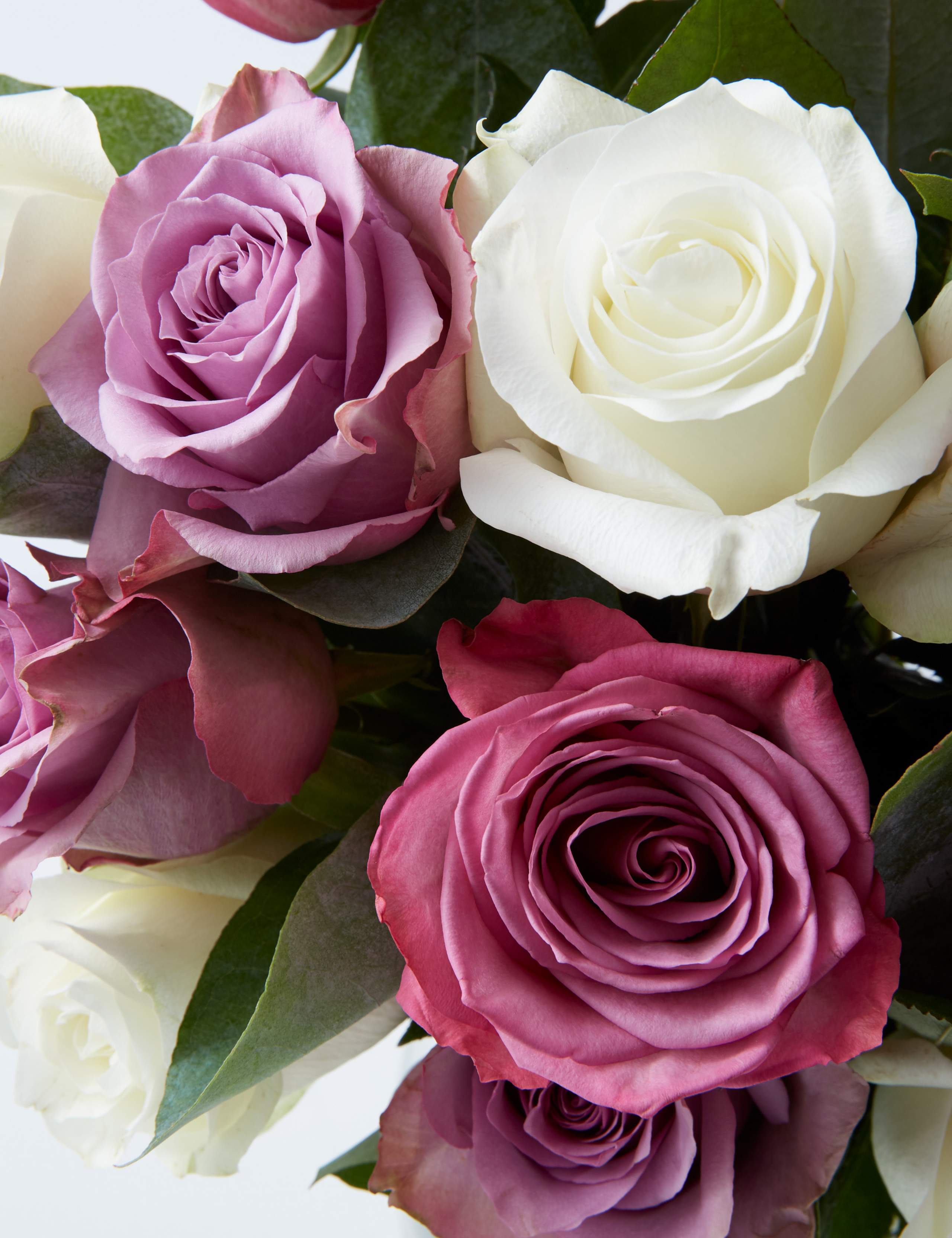 Collection Lilac Rose Bouquet 5 of 7
