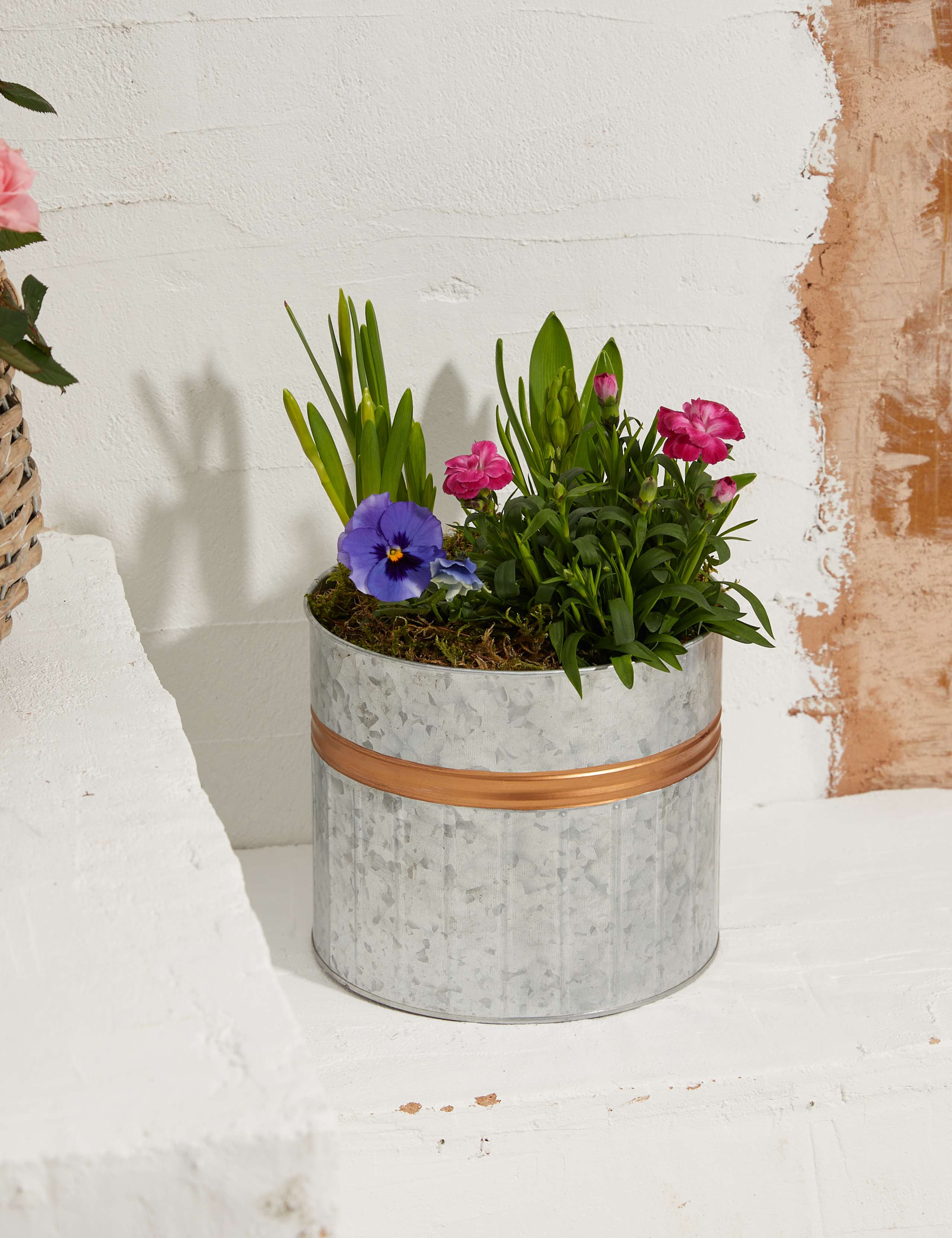 Mum's Flowering Planter 1 of 3