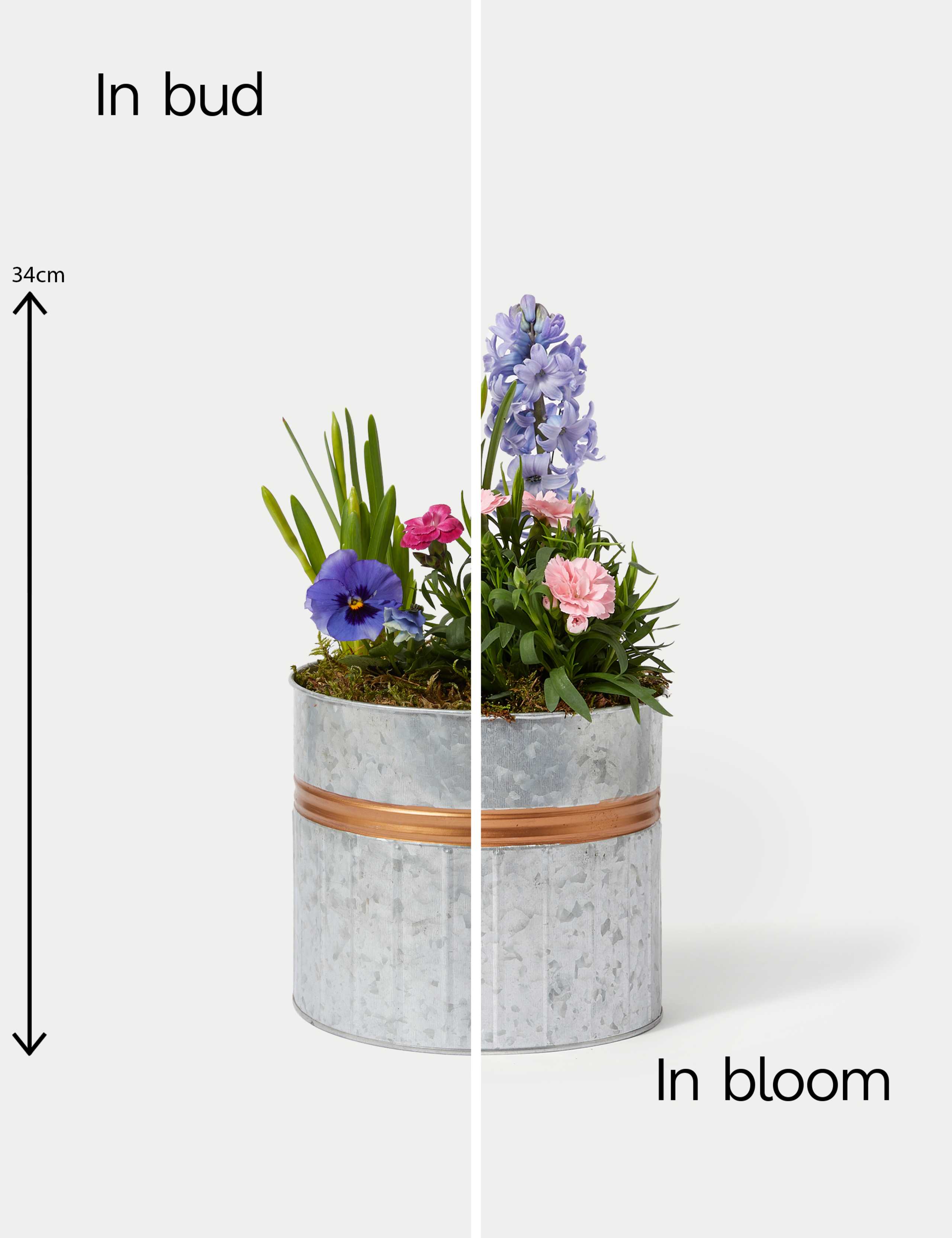 Mum's Flowering Planter 2 of 3