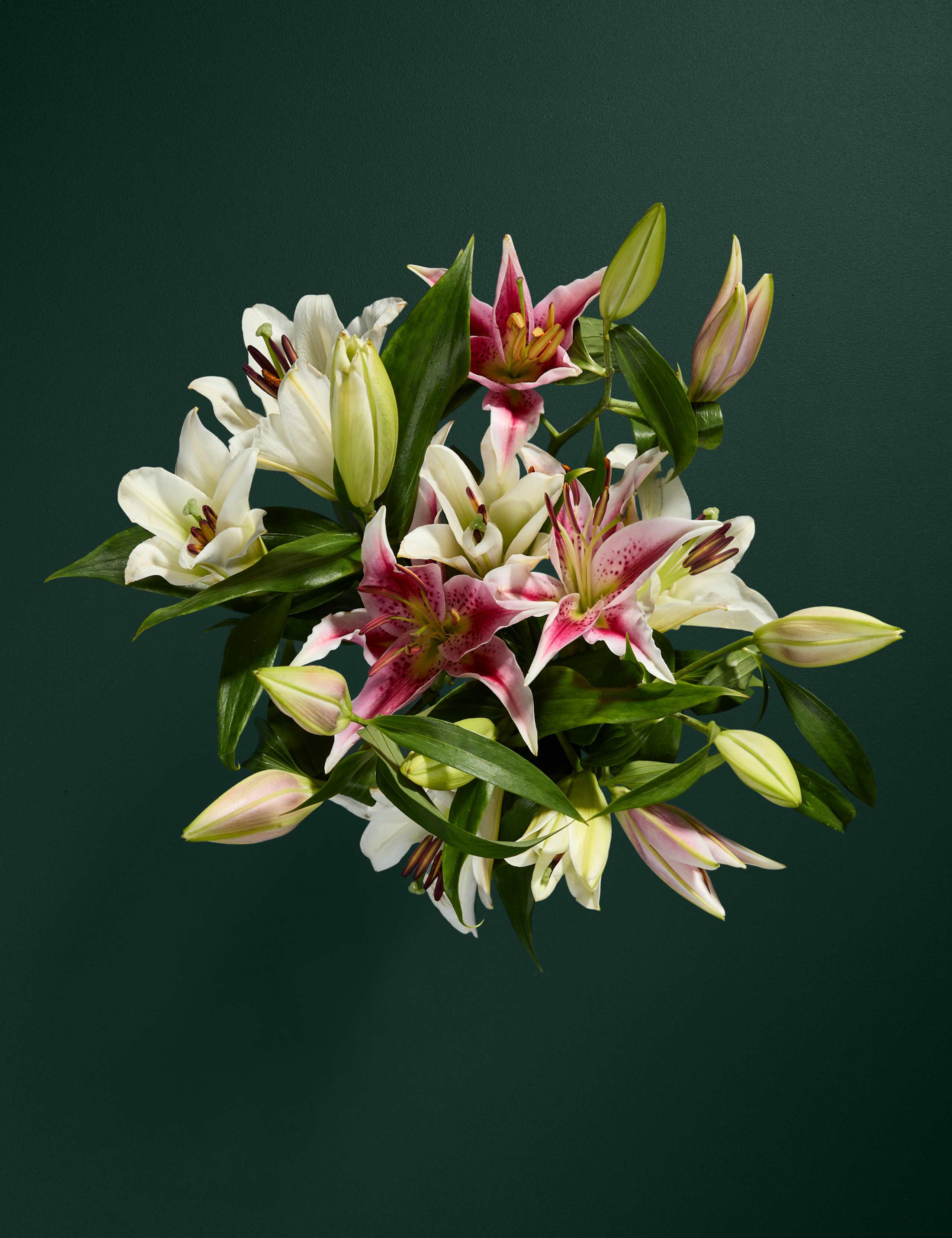 Lily Abundance Bouquet 2 of 6