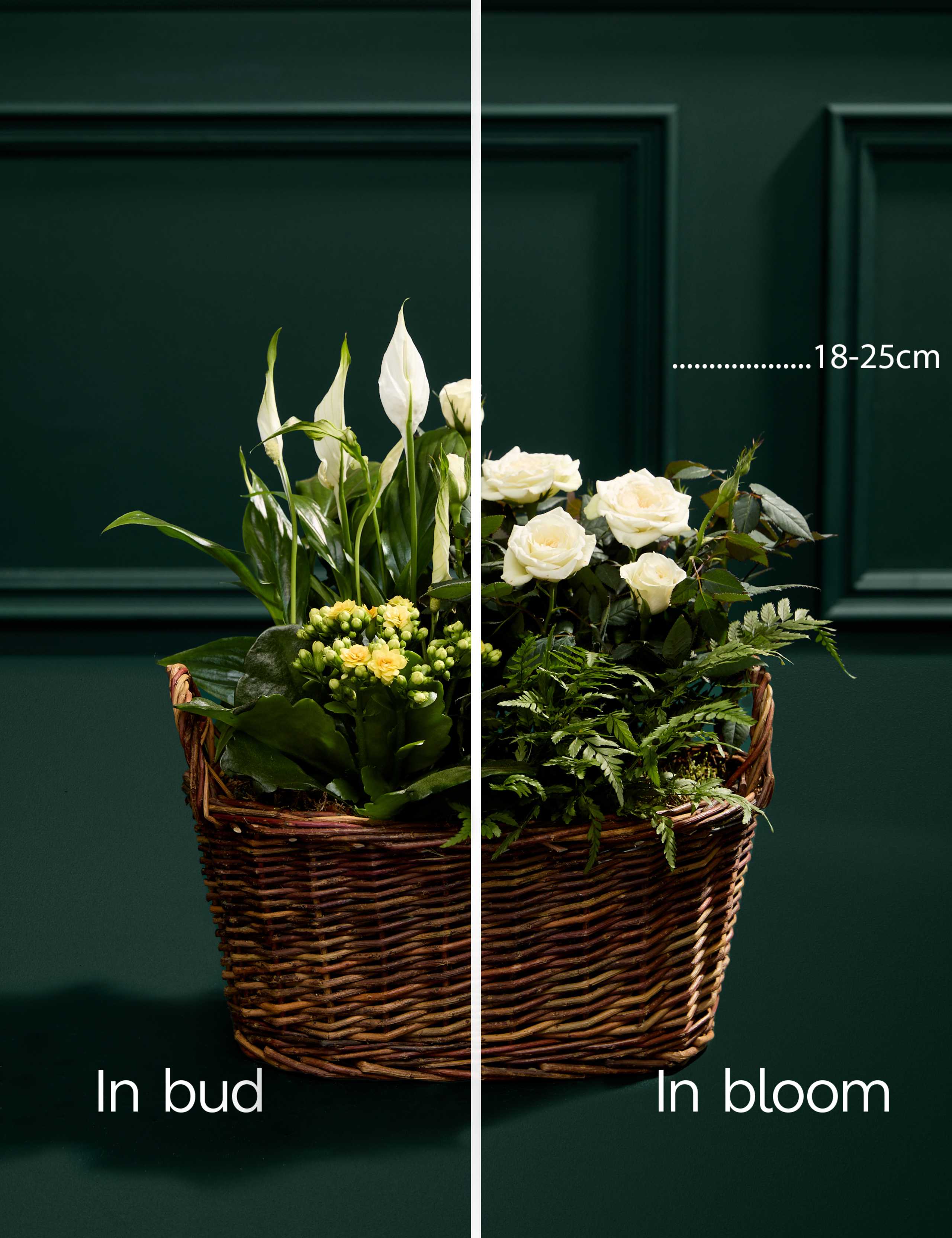 Spring Flowering Basket 3 of 3