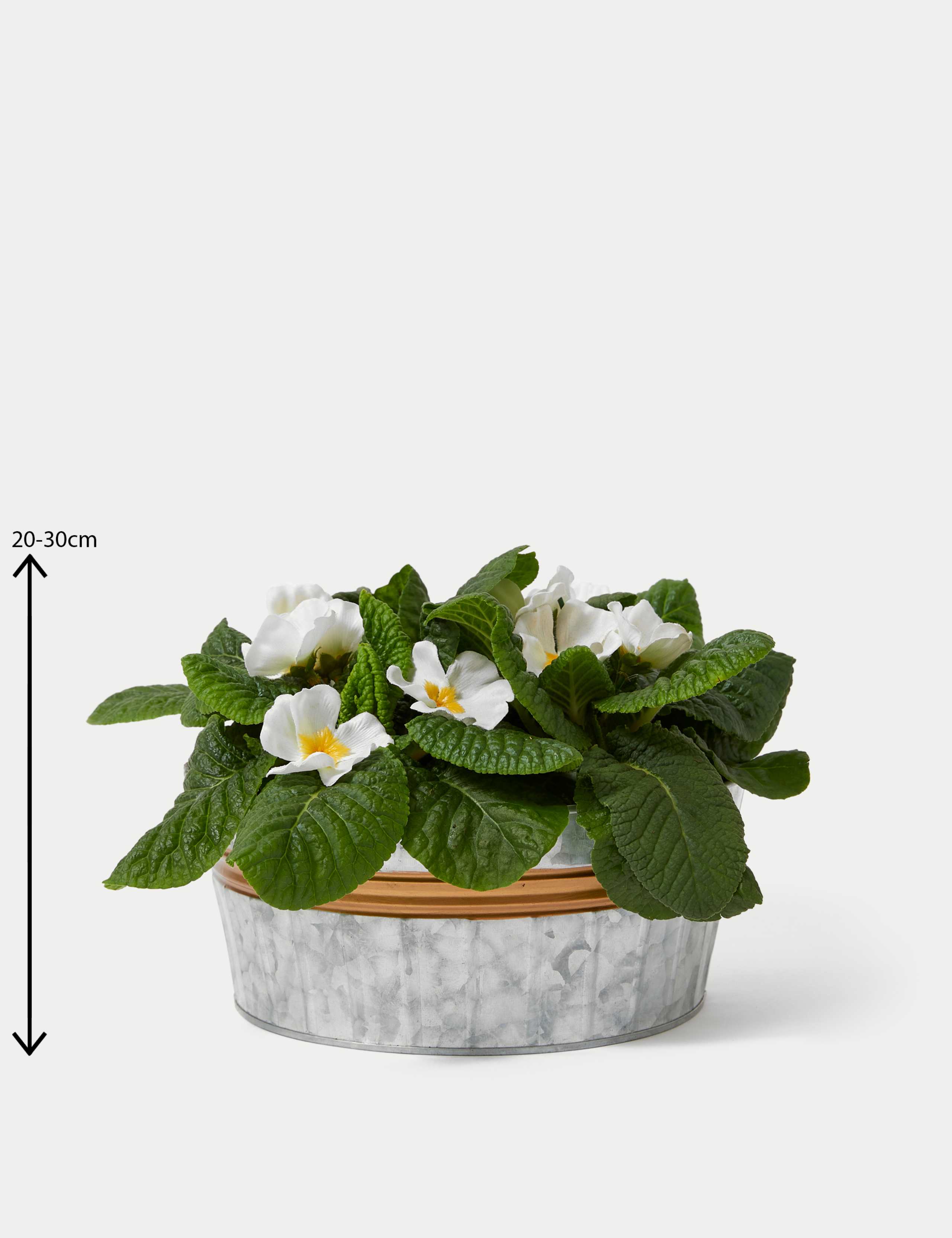 Seasonal Tin Planter 4 of 4