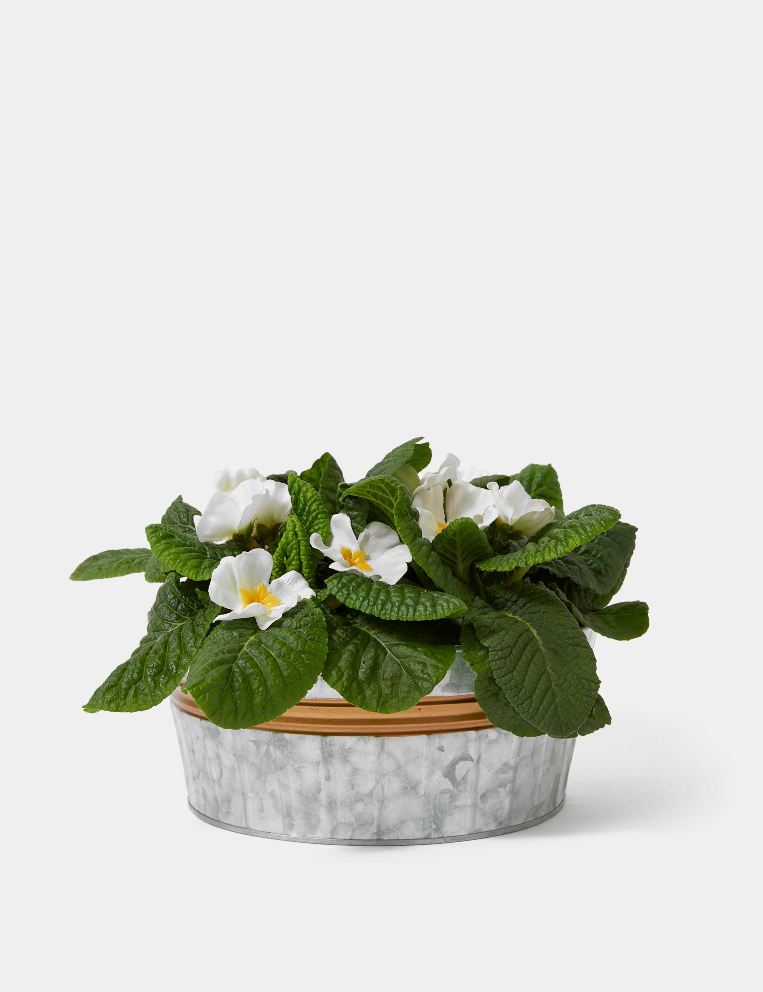 Seasonal Tin Planter 2 of 4