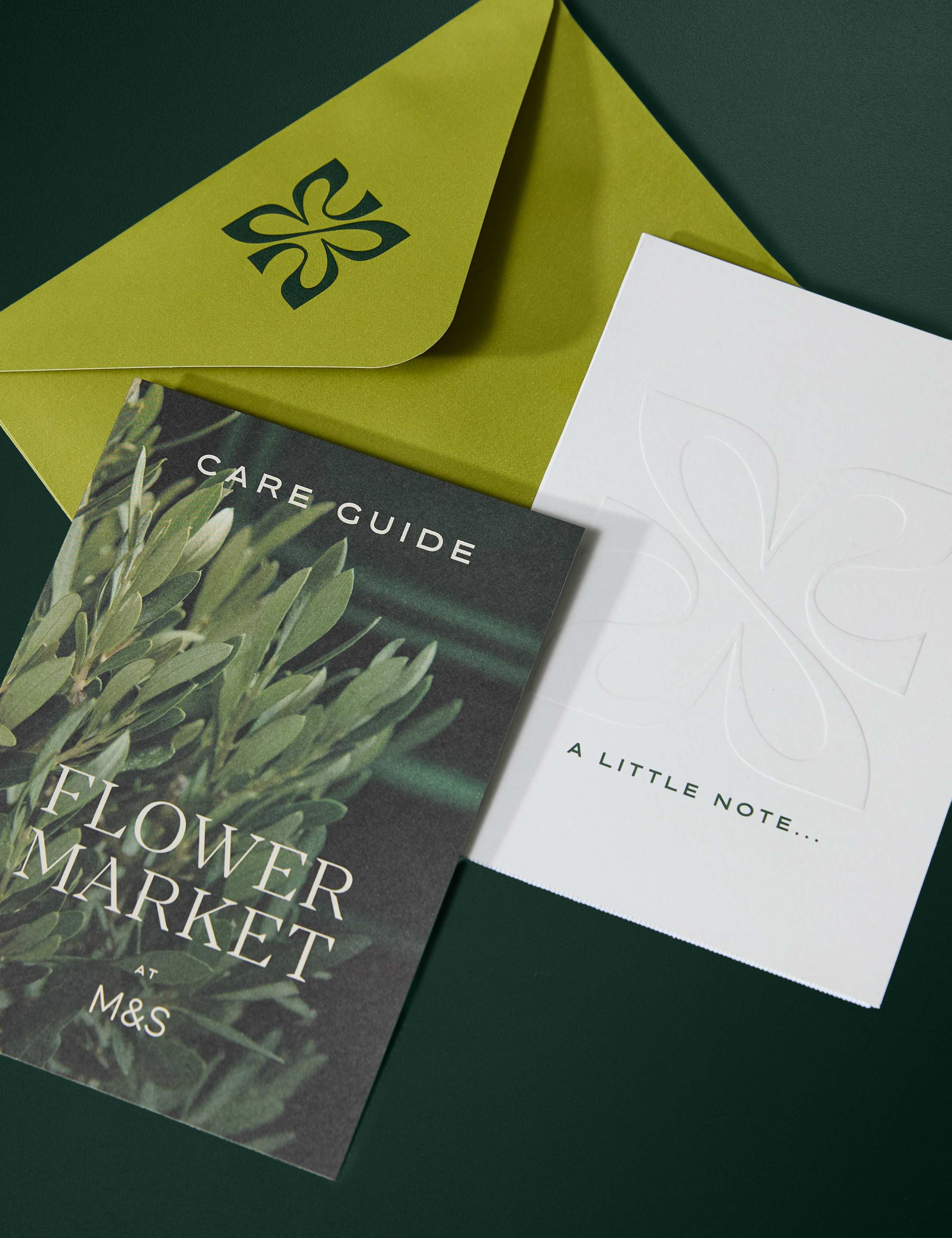 Olive Tree in Hessian Gift Bag 5 of 5