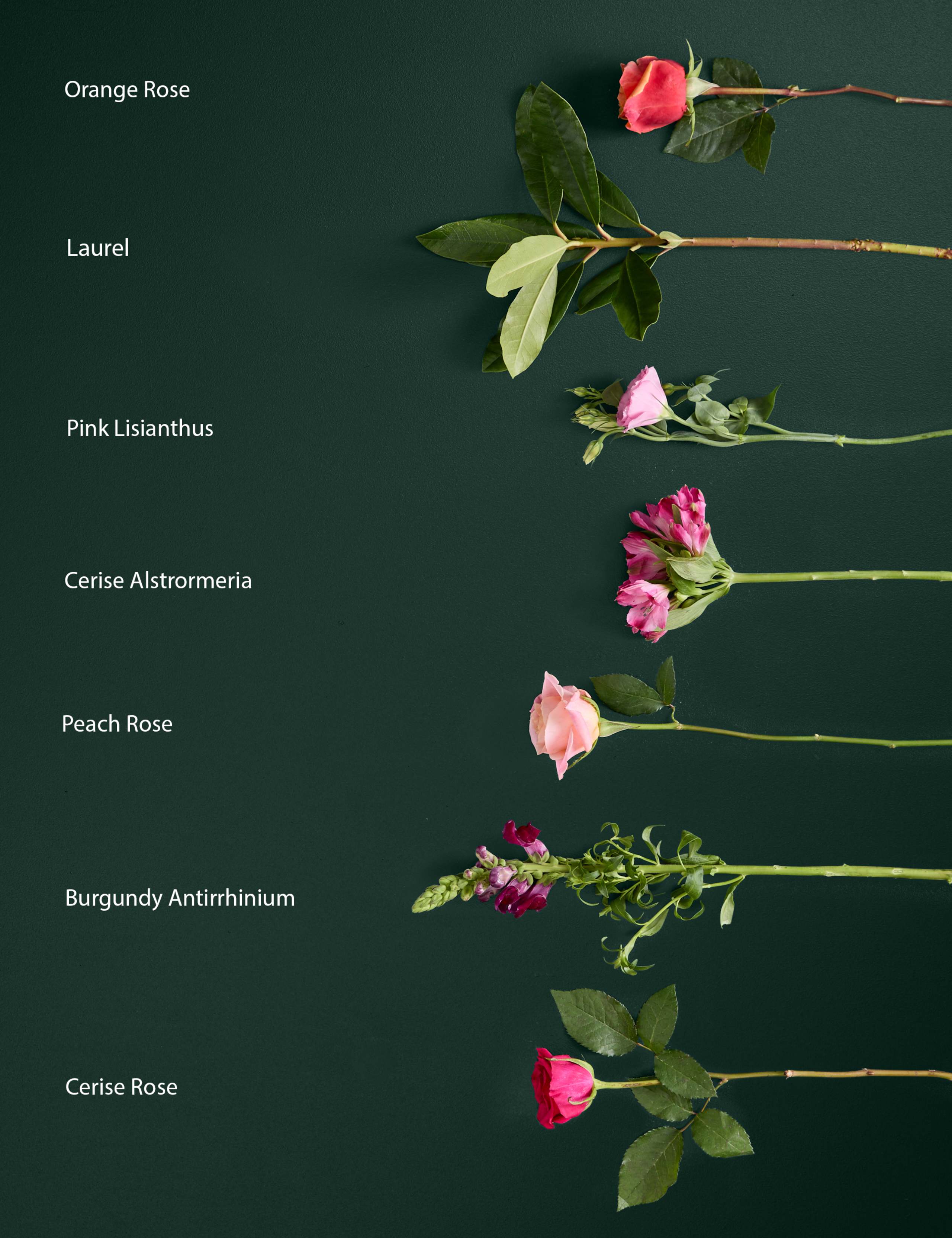 Rose, Lisianthus & Antirrhinum Bright Bouquet 4 of 7