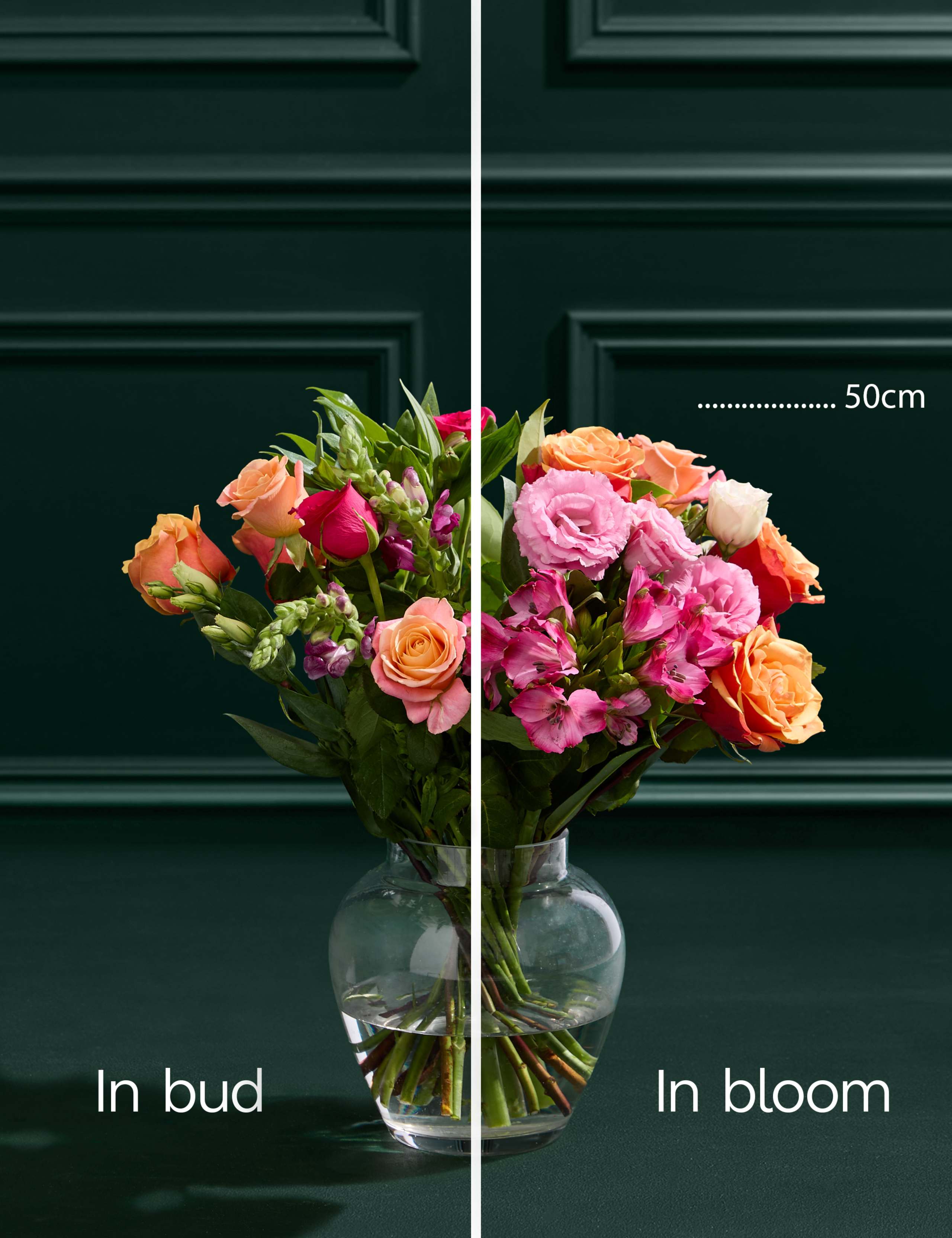 Rose, Lisianthus & Antirrhinum Bright Bouquet 5 of 7