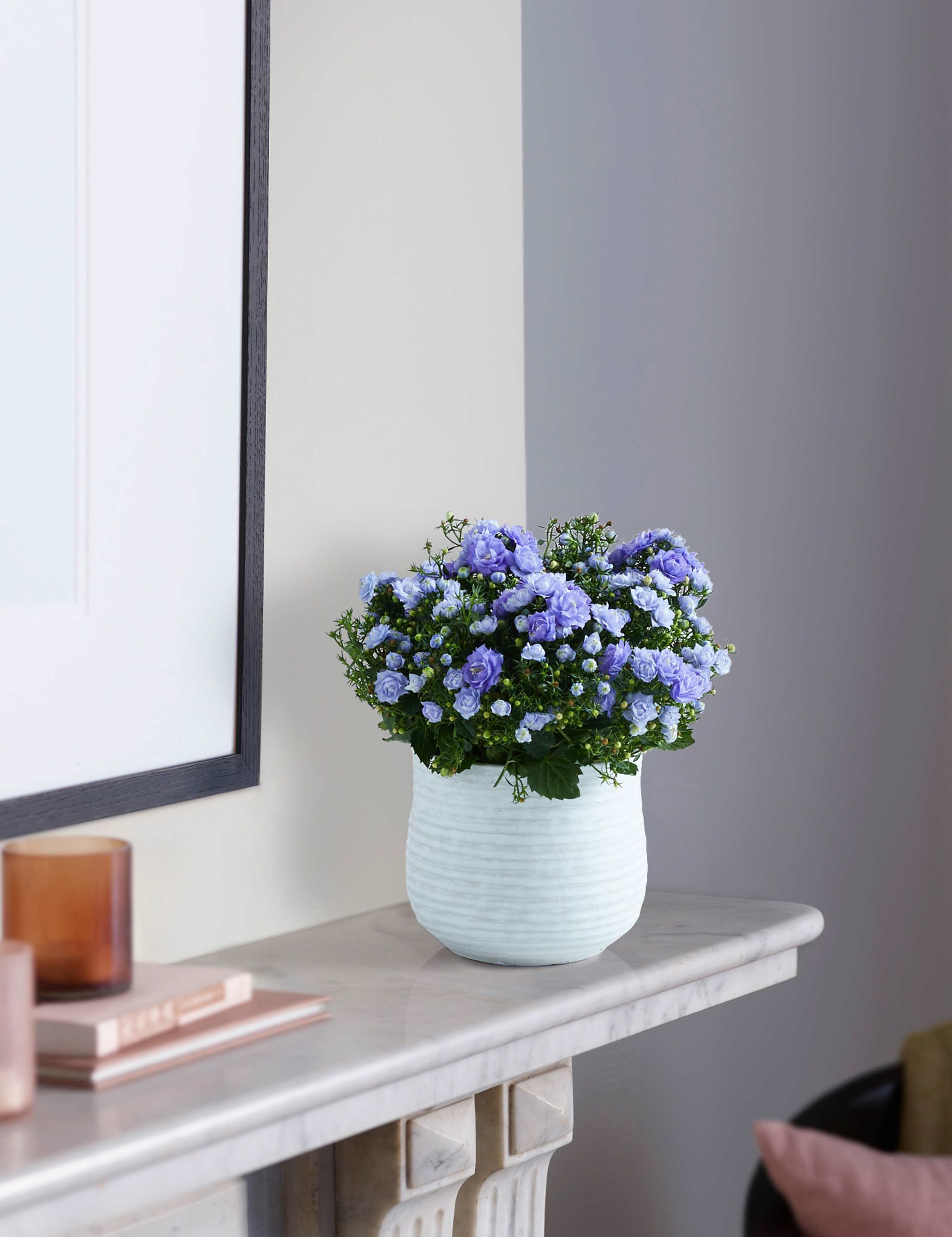 Campanula Ceramic 1 of 6