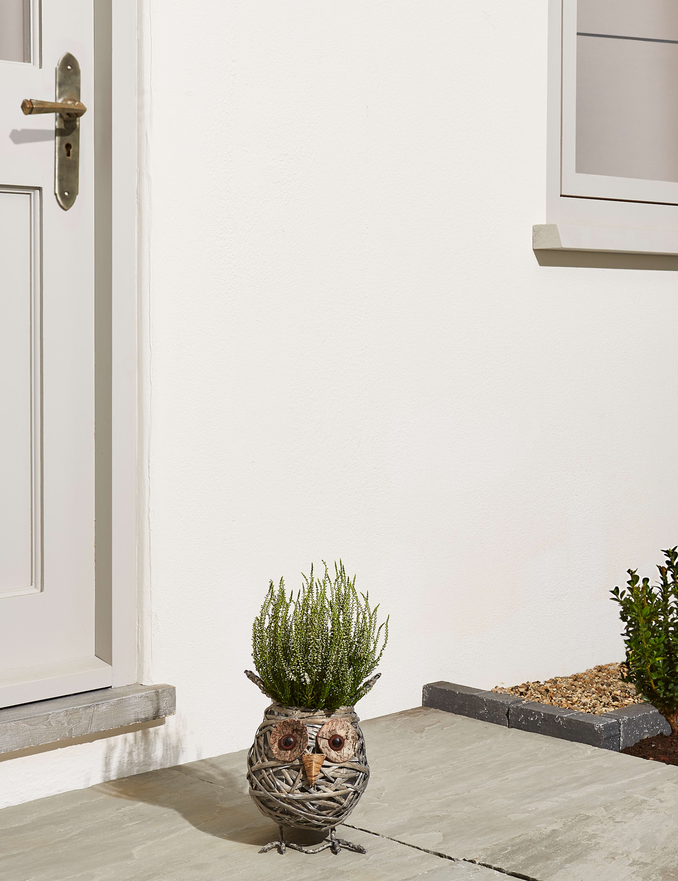 Novelty Owl Calluna Planter (Last Delivery Date 30th November) 2 of 5