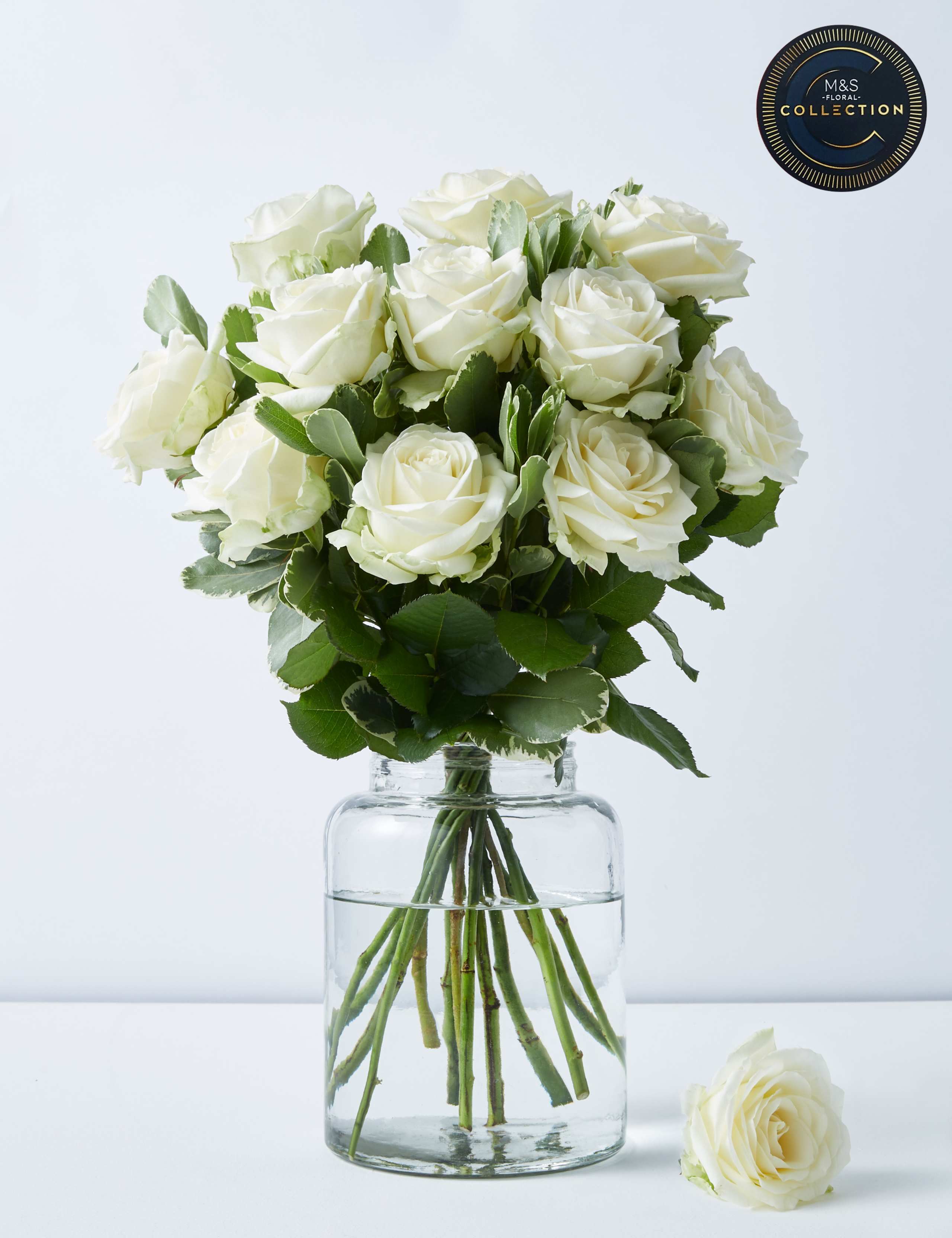 Collection Avalanche™ Roses Bouquet 1 of 7