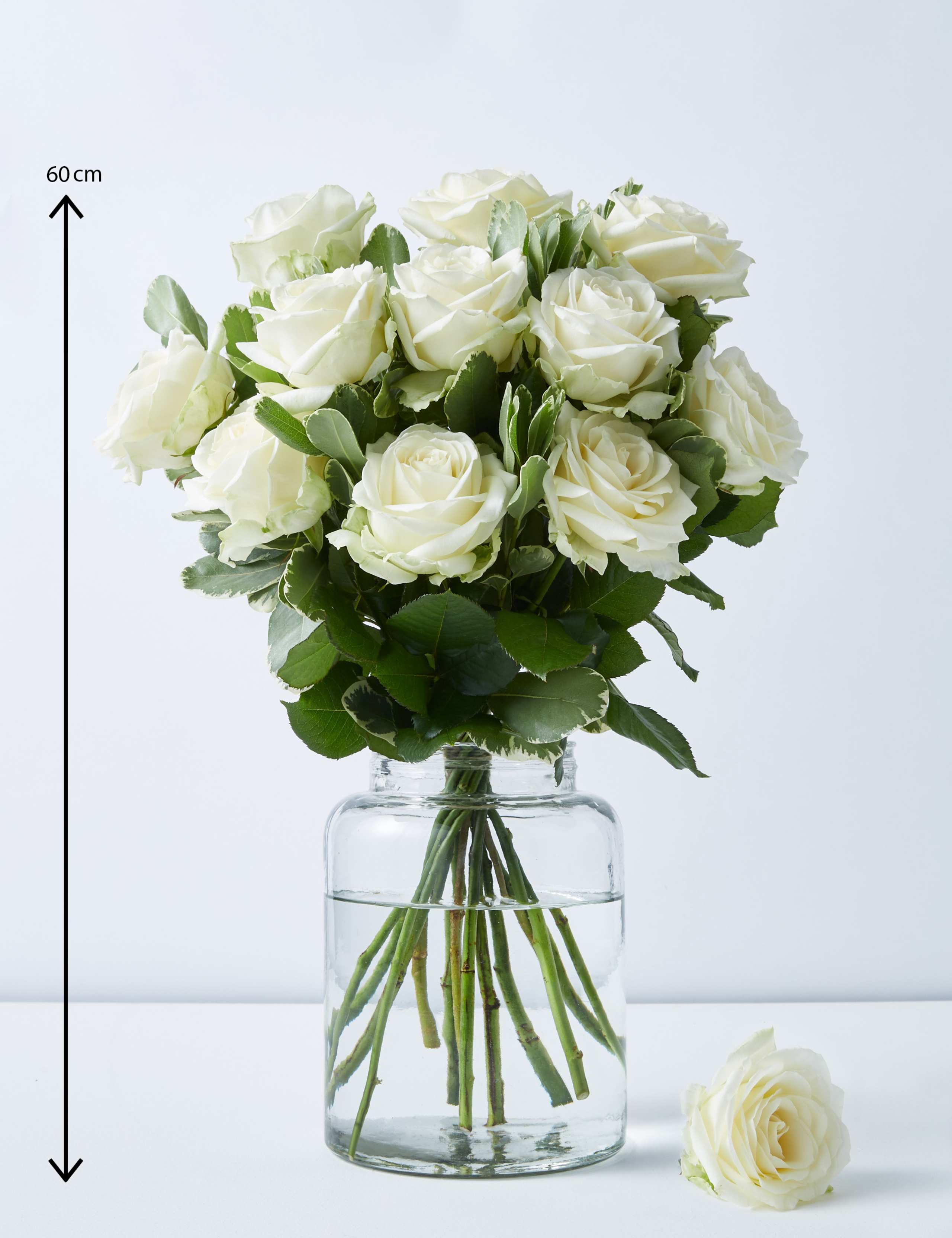 Collection Avalanche™ Roses Bouquet 4 of 7