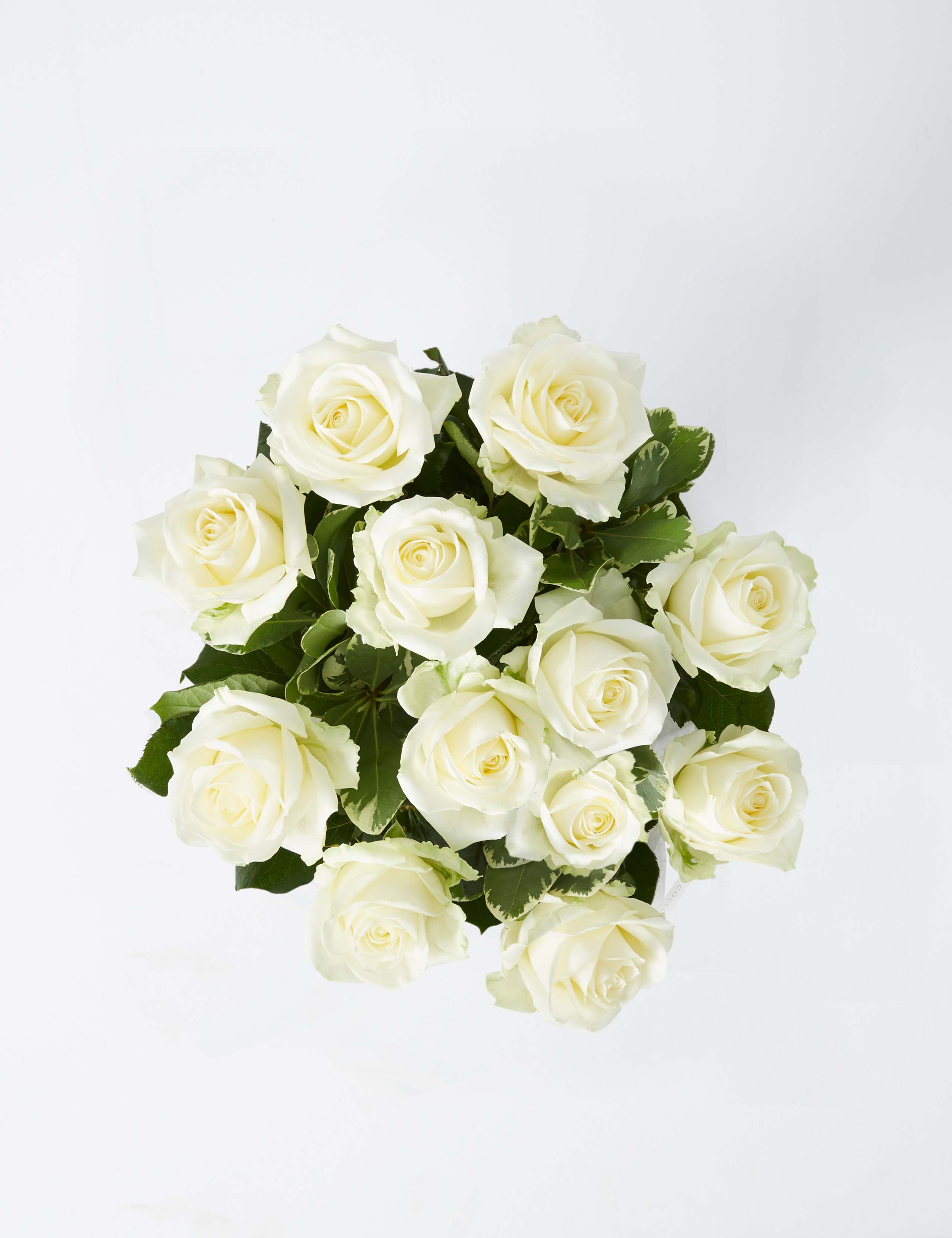 Collection Avalanche™ Roses Bouquet 2 of 7