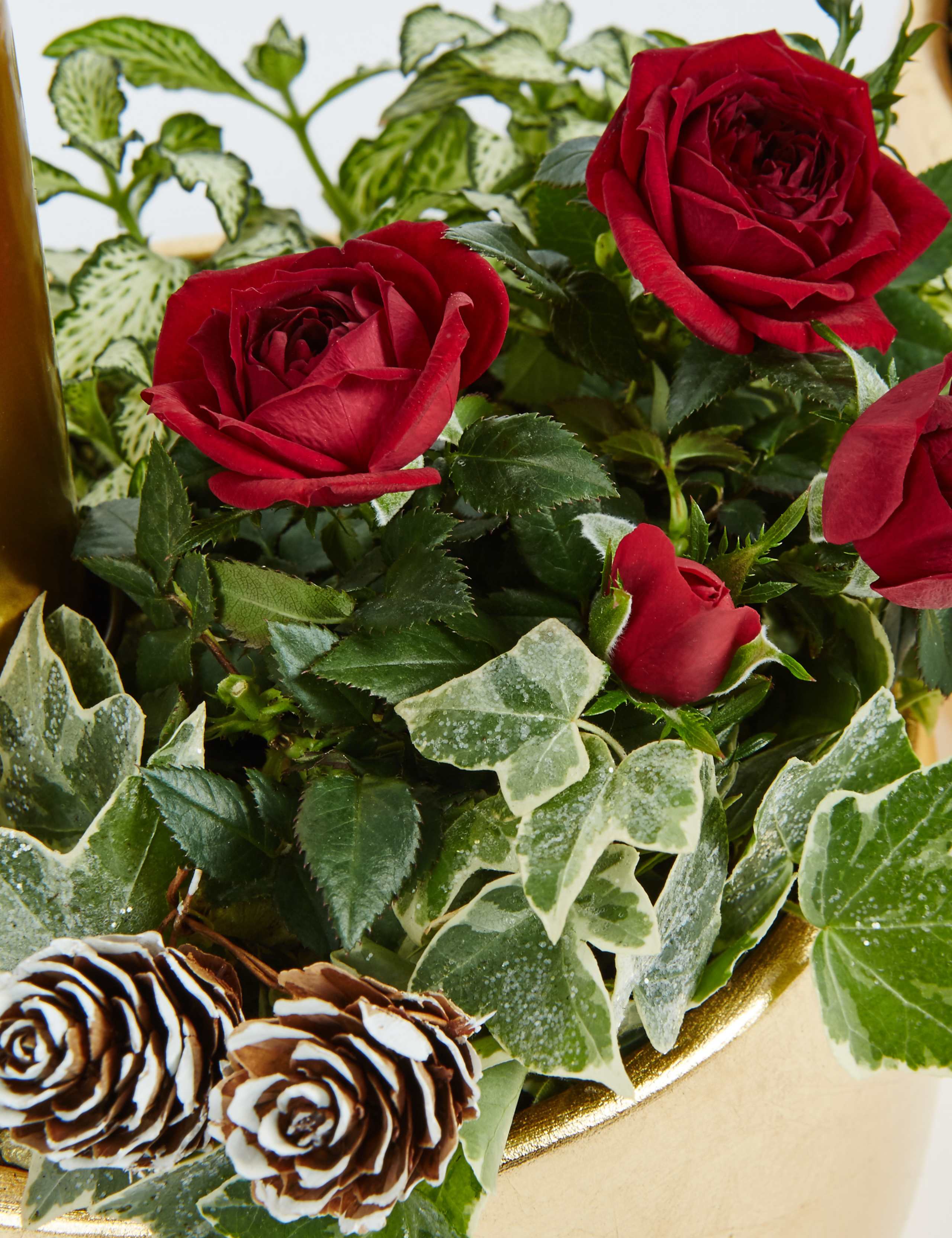 Contemporary Christmas Candle Duo 4 of 5