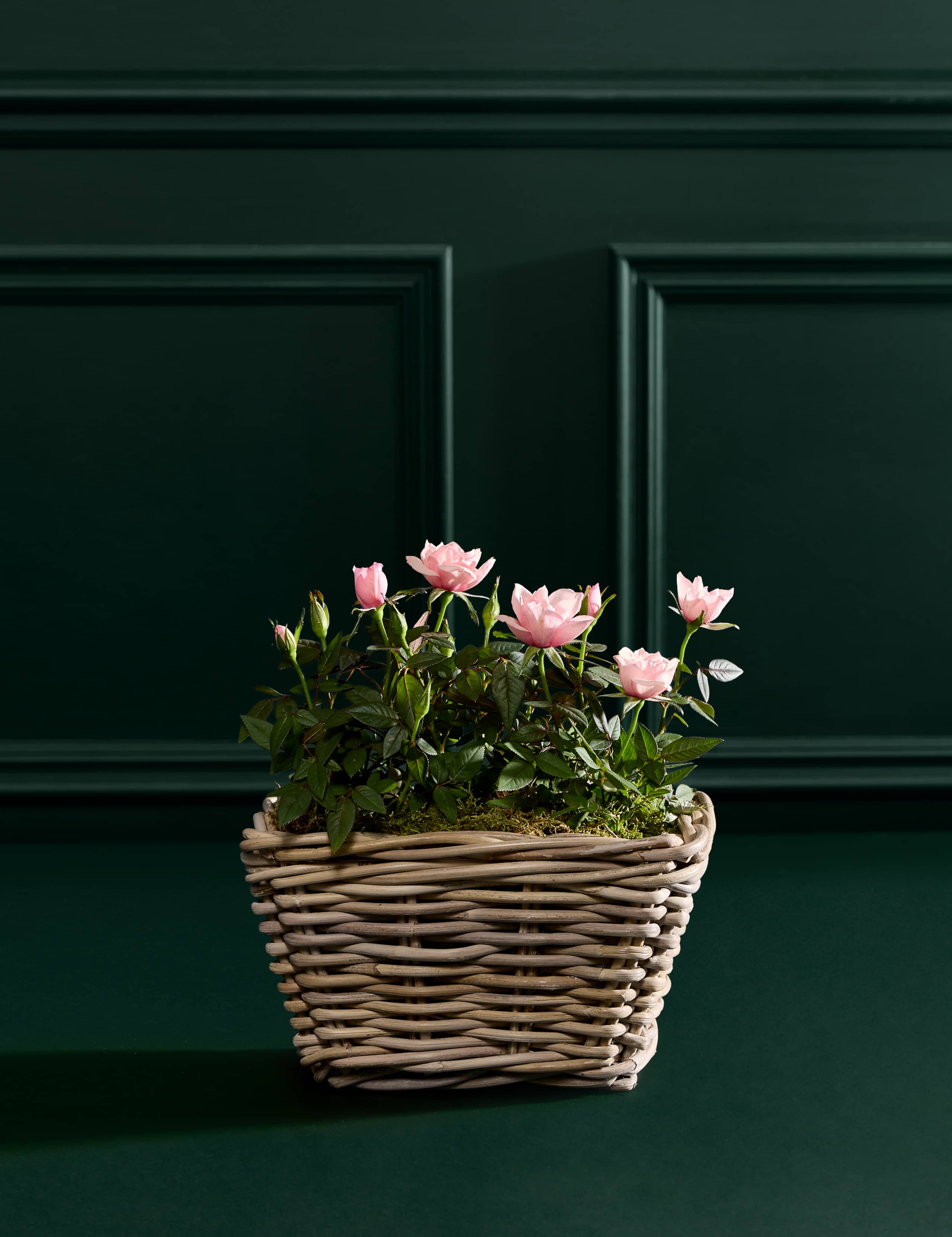 Luxury Scented Rose Duo in Kubu Basket 3 of 5