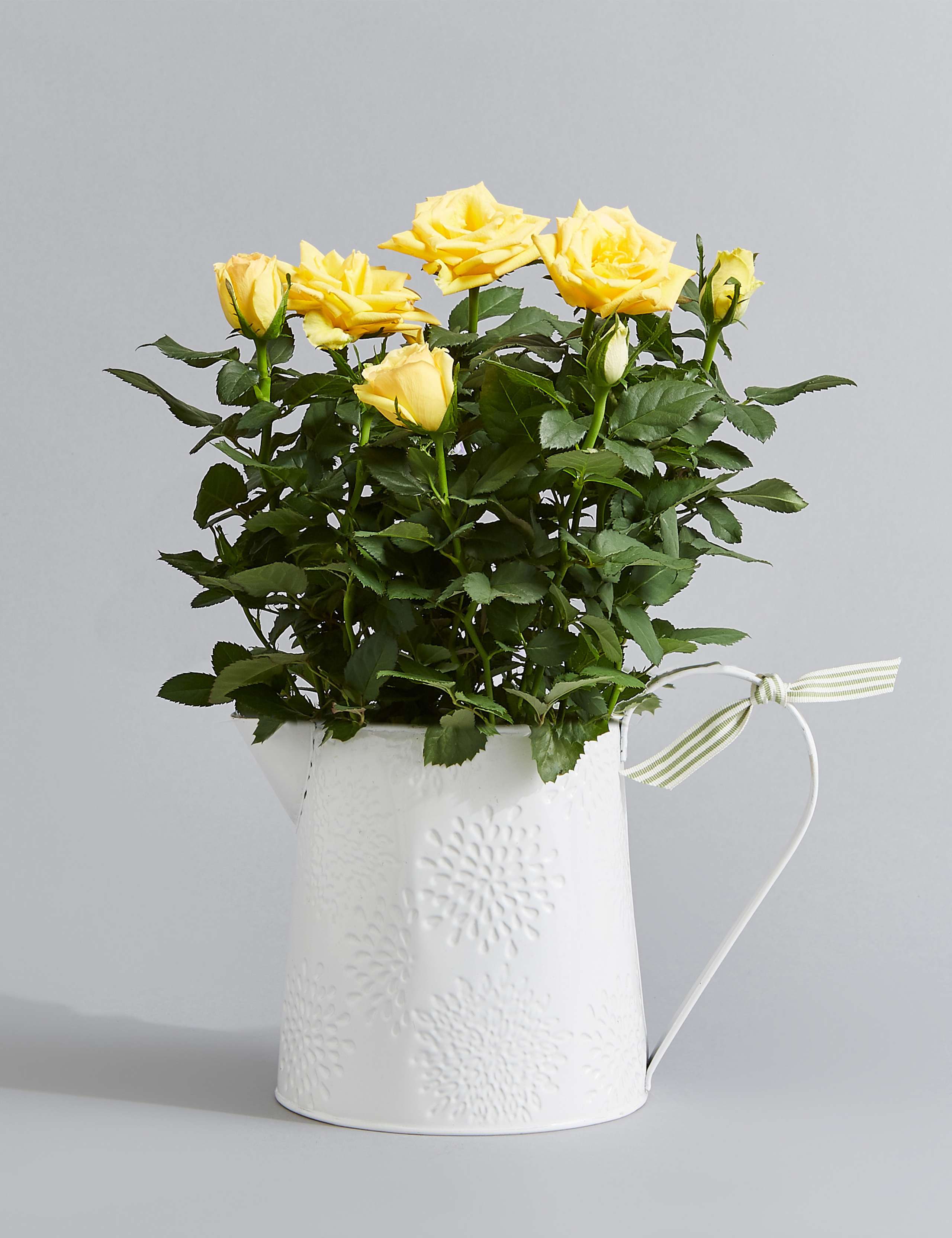 Autumn Yellow Rose Jug 1 of 5