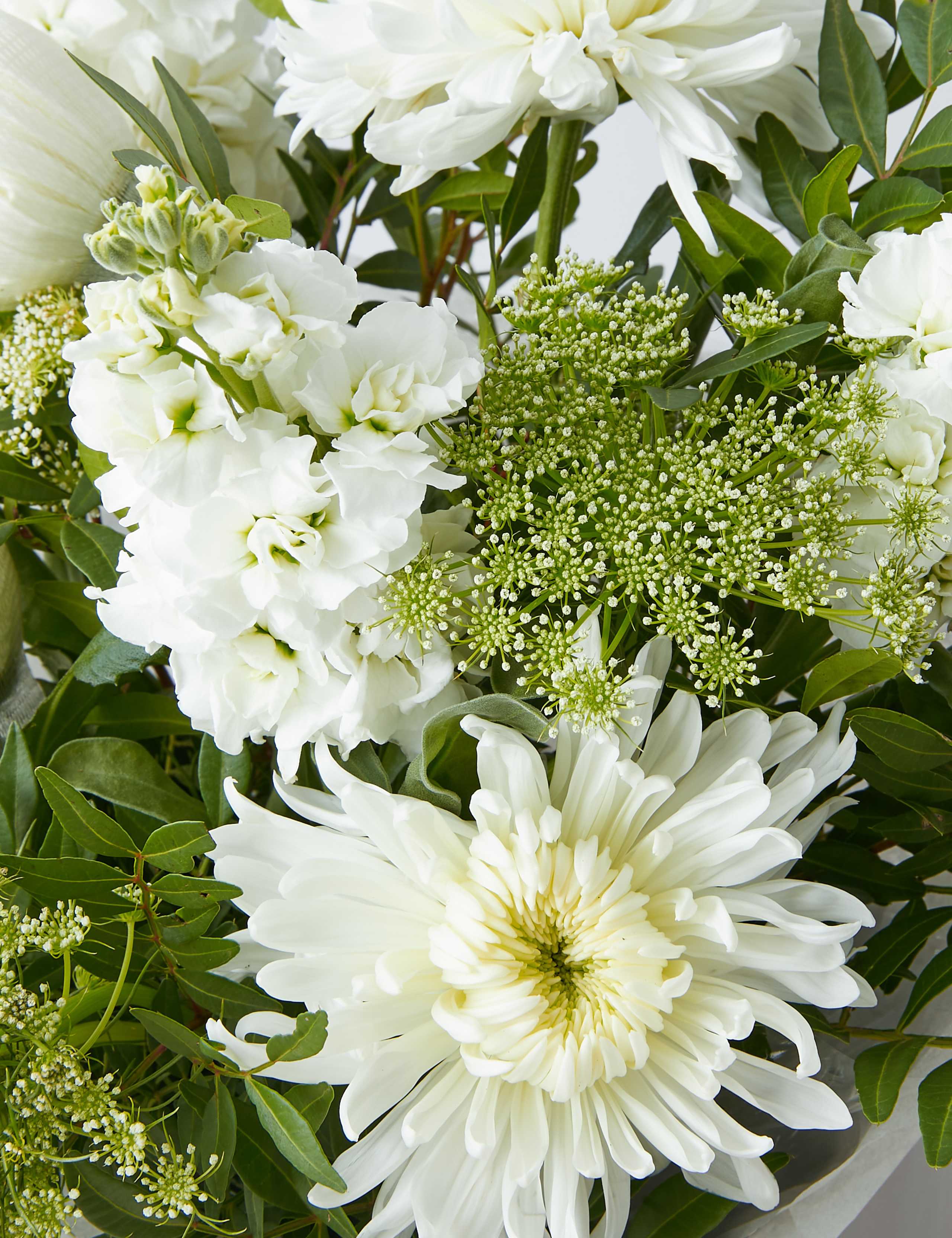 Thinking of You Gift Bag 4 of 6