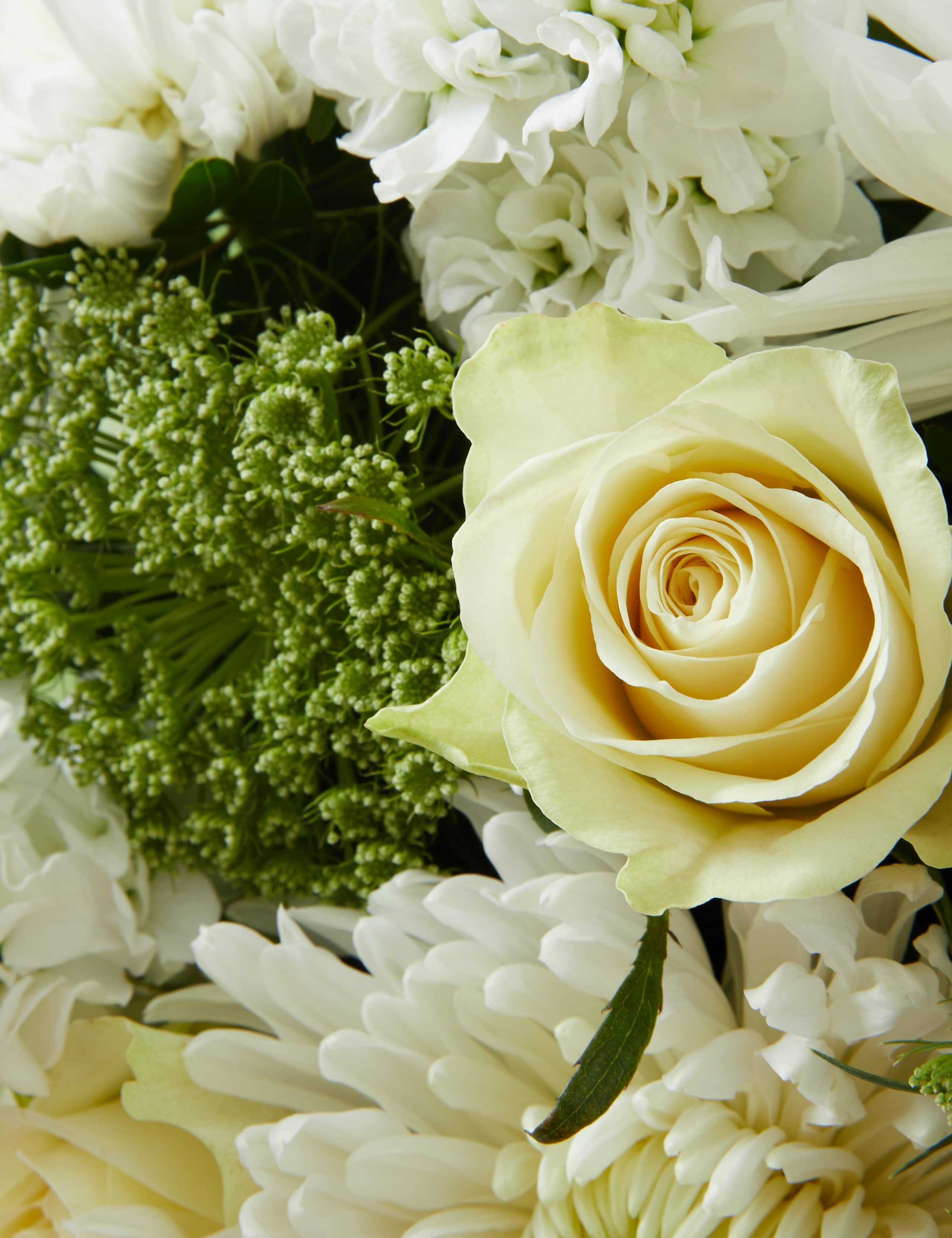 Thinking of You Gift Bag 5 of 6