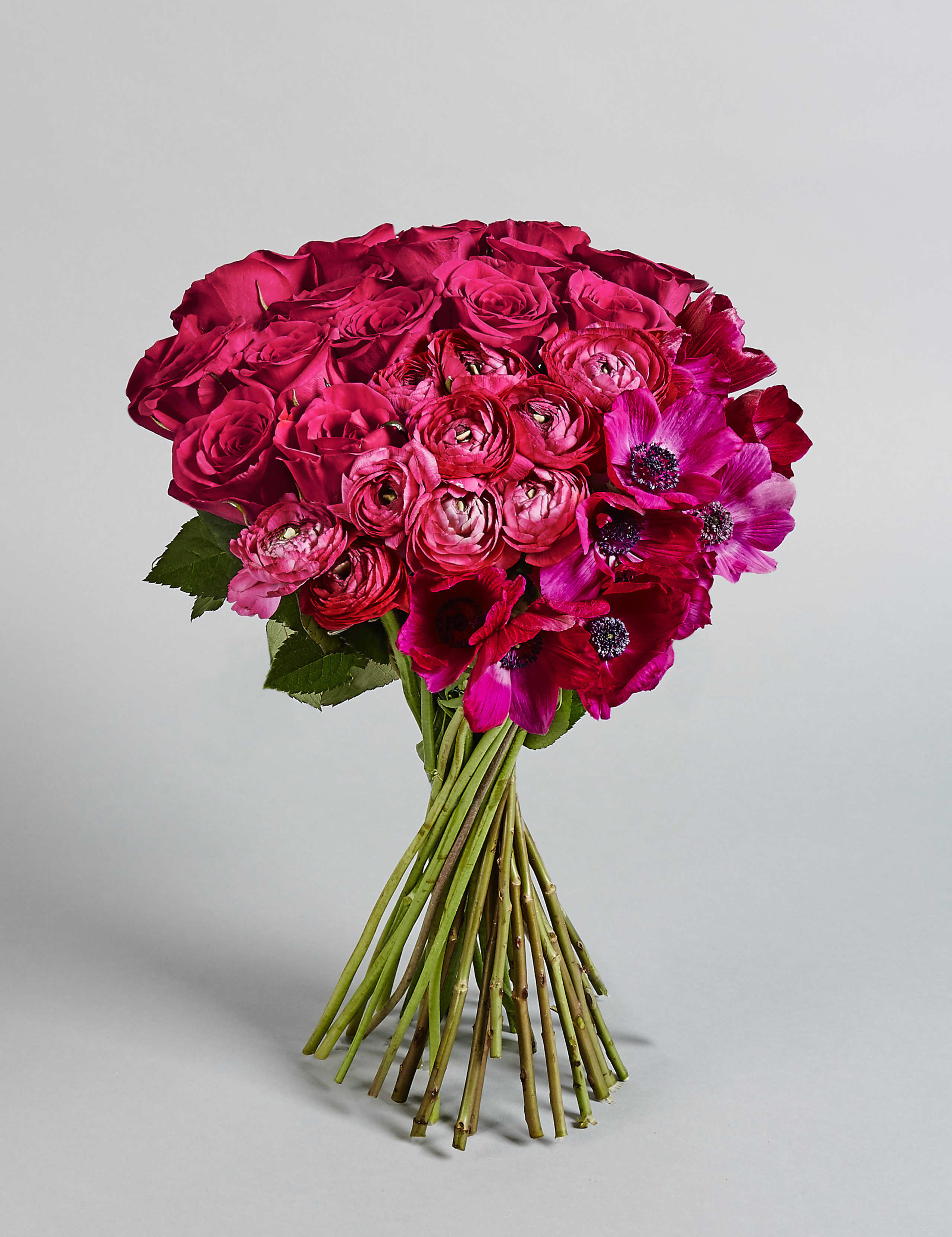 The Collection Bundle of Spring 1 of 6