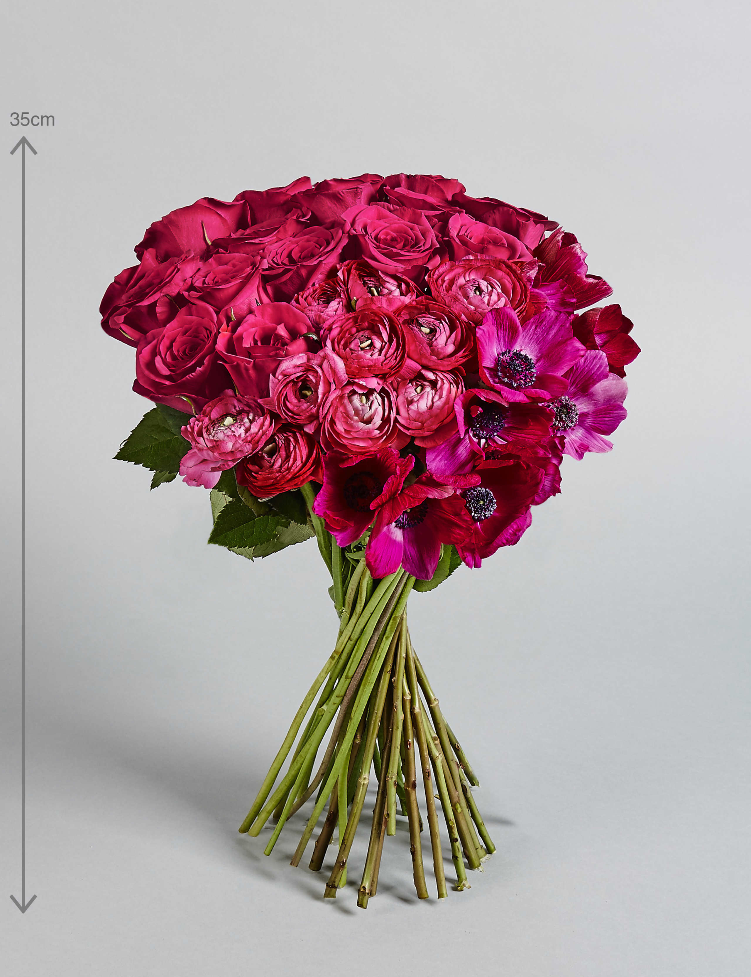 The Collection Bundle of Spring 2 of 6